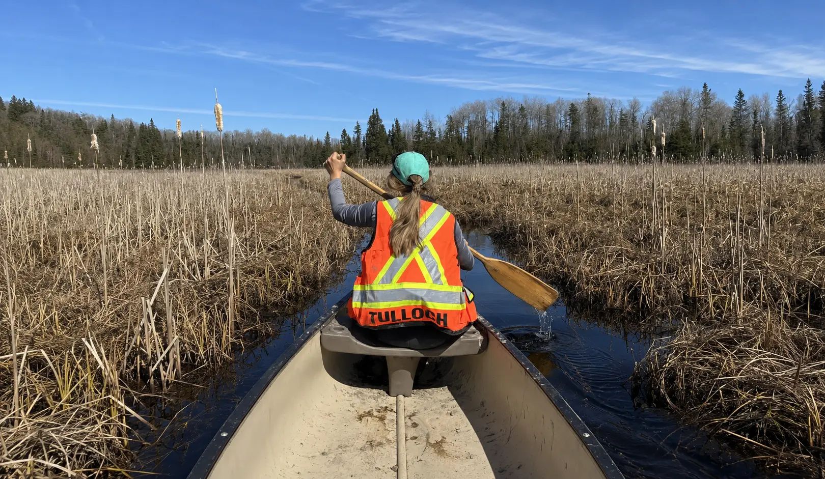 TULLOCH environmental field staff travelling by canoe through a wetland.