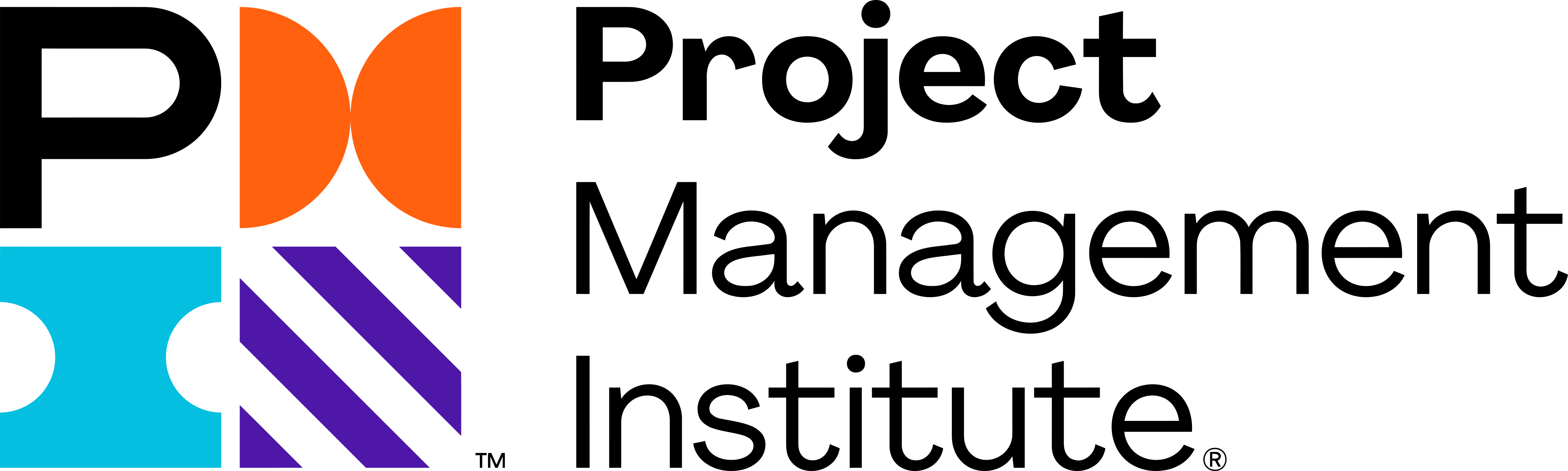 Project Management Institute Logo.
