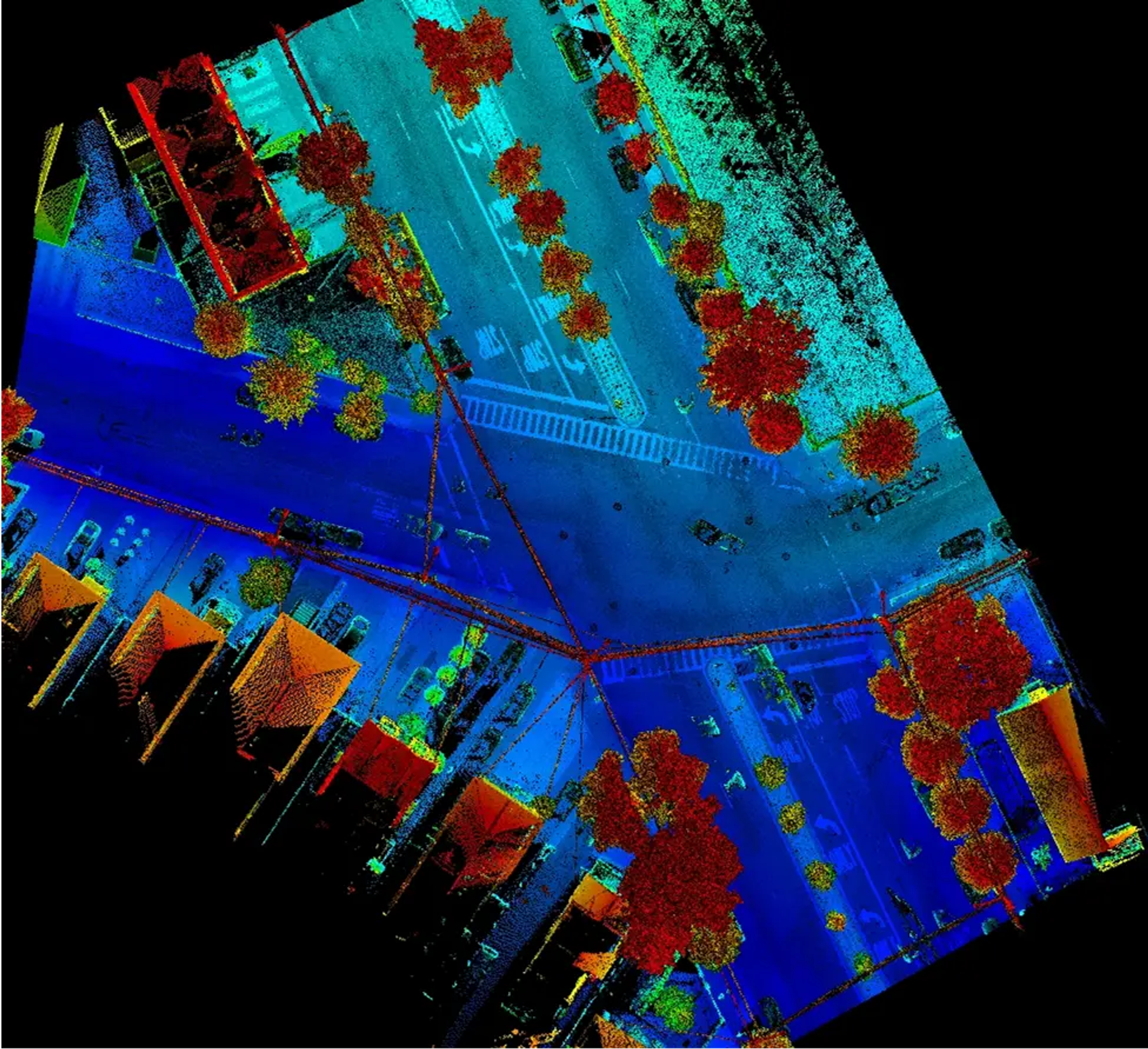 Colourized LiDAR point cloud for a Staten Island mapping project.