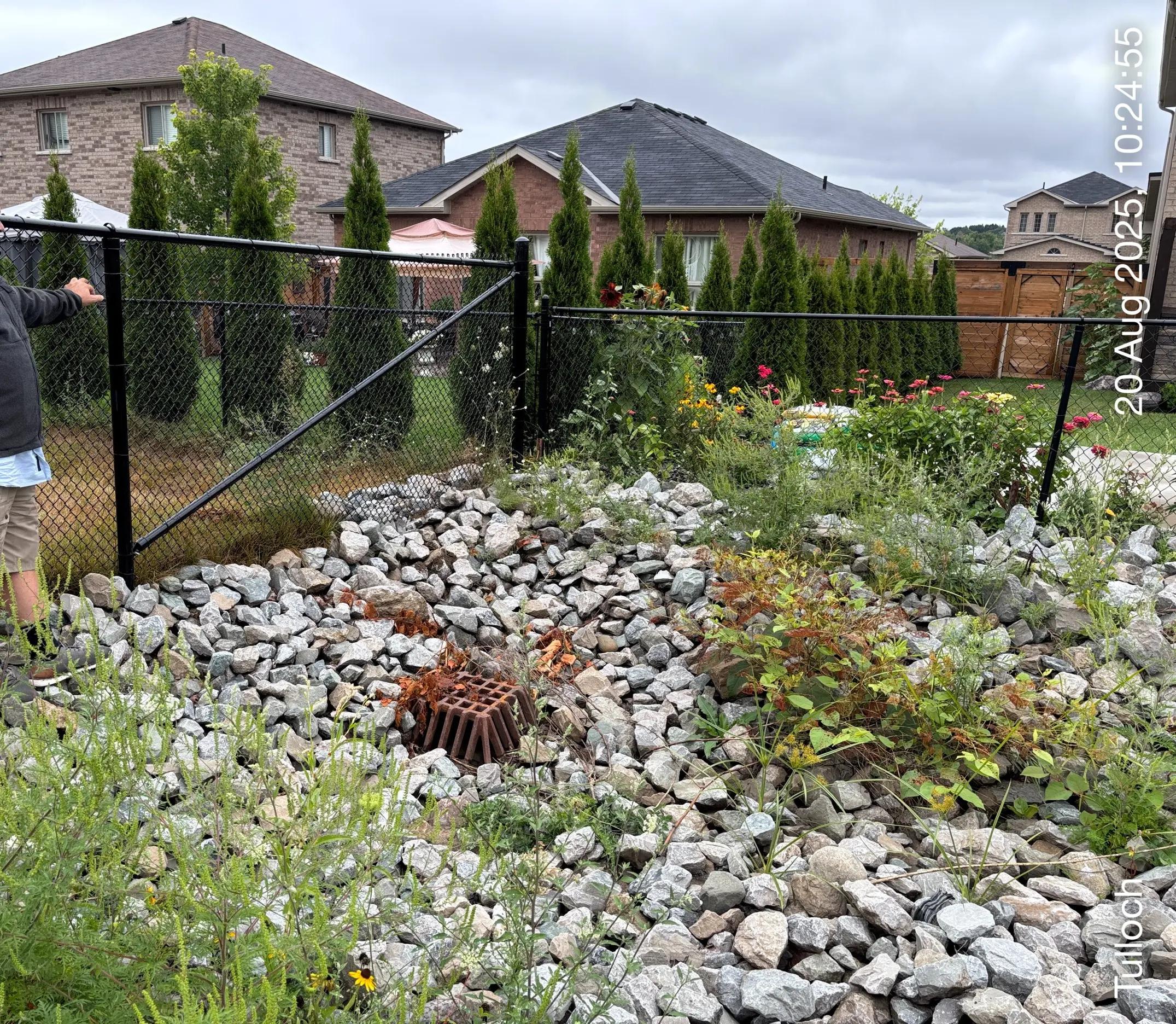 Landscaped drainage feature and residential lots at Harbour Pointe.