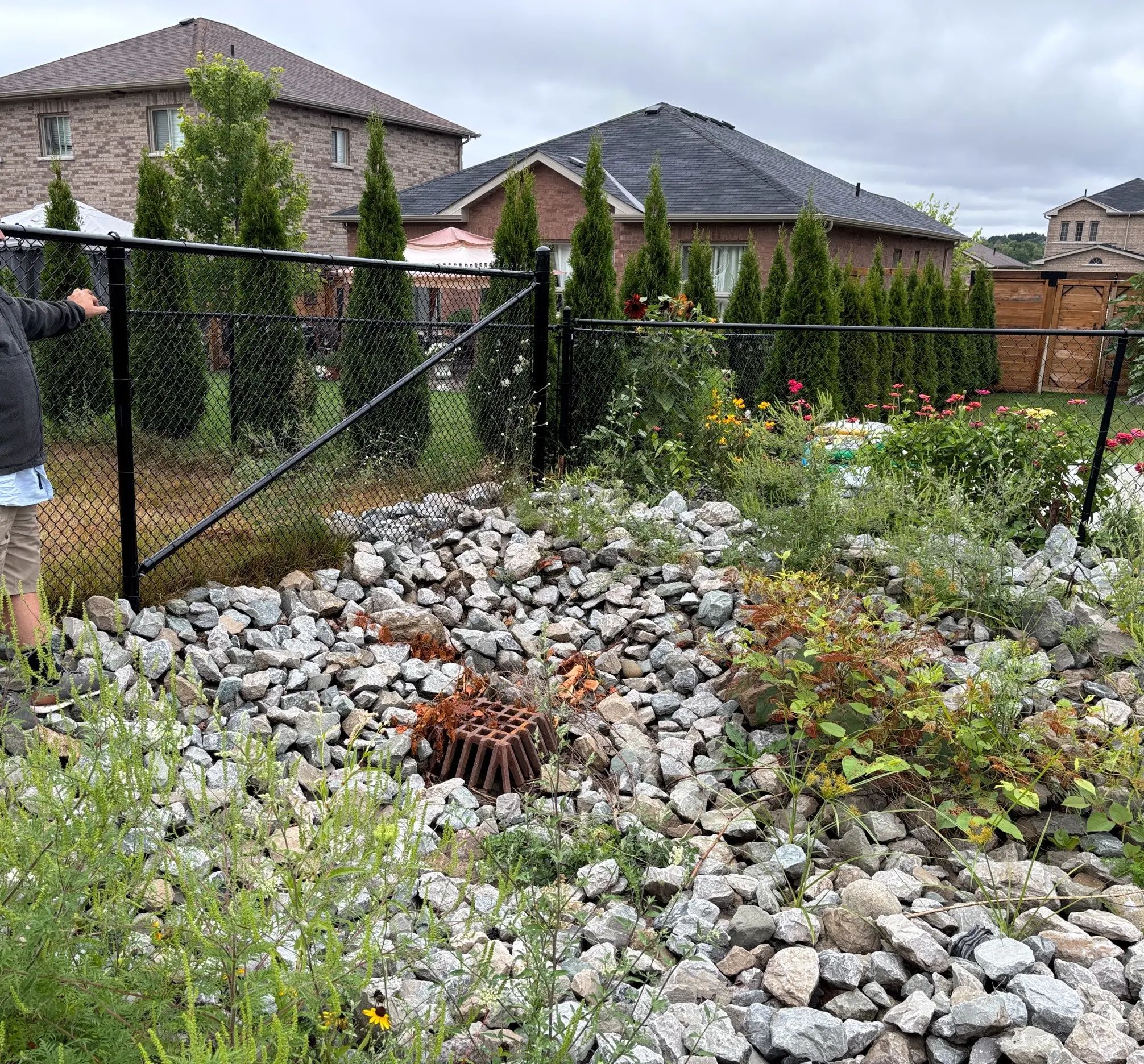 Landscaped drainage feature and residential lots at Harbour Pointe.