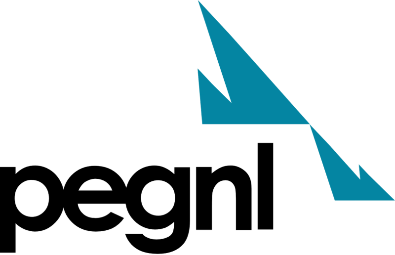Professional Engineers and Geoscientists Newfoundland and Labrador logo.