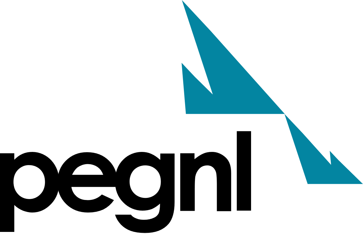 Professional Engineers and Geoscientists Newfoundland and Labrador logo.