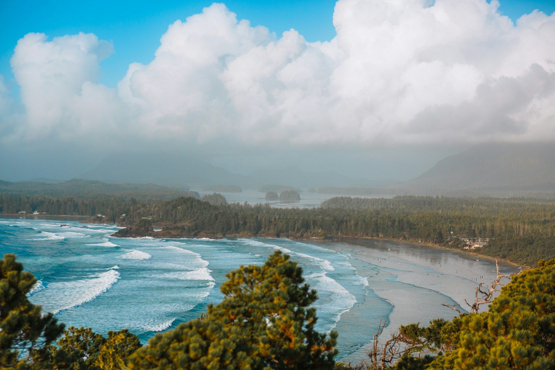 Tofino