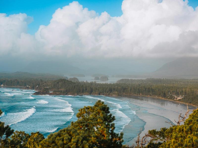 Tofino