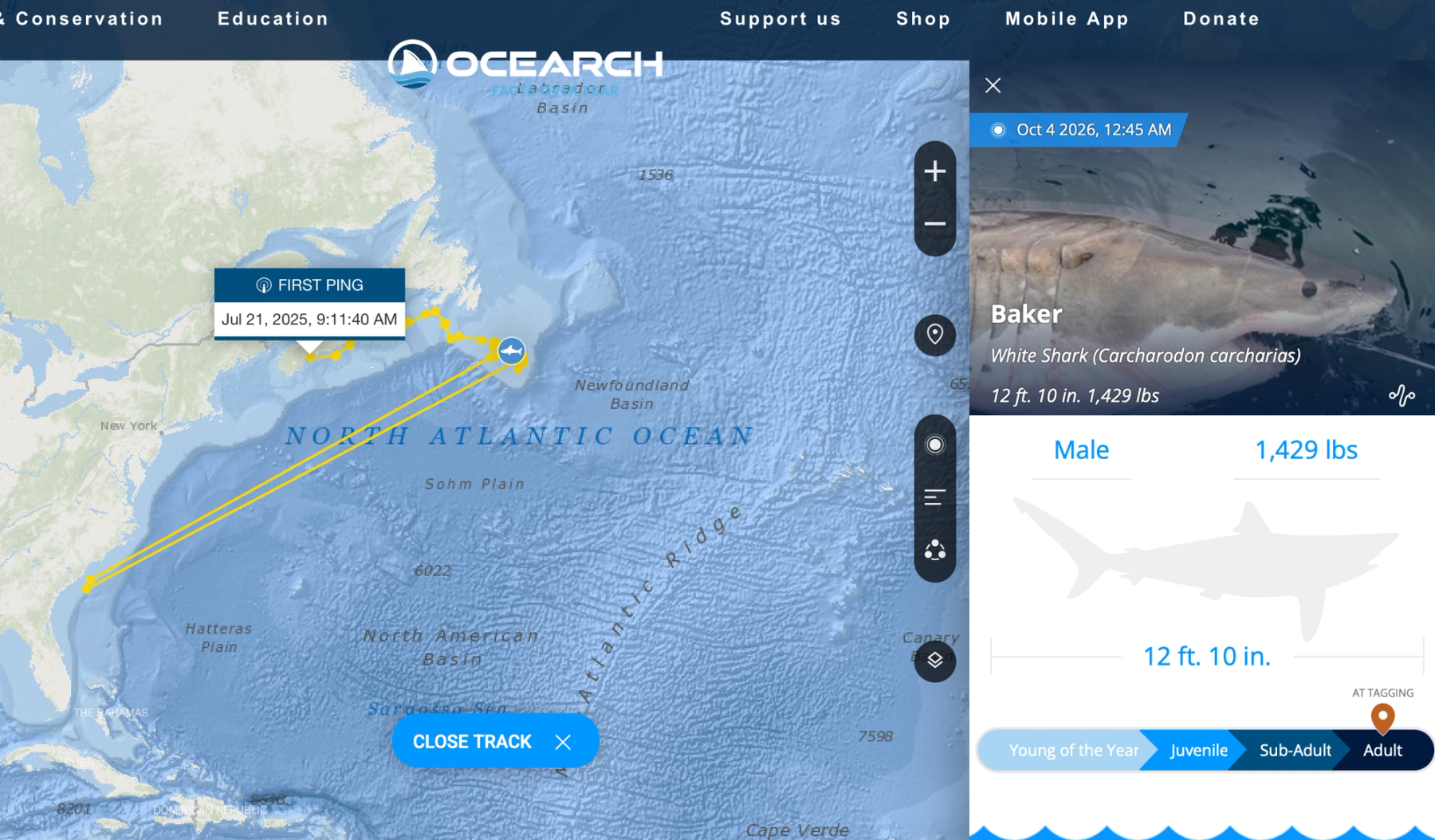 A screenshot of the OCEARCH tracker for Baker, showing movements from Nova Scotia to the Carolinas.