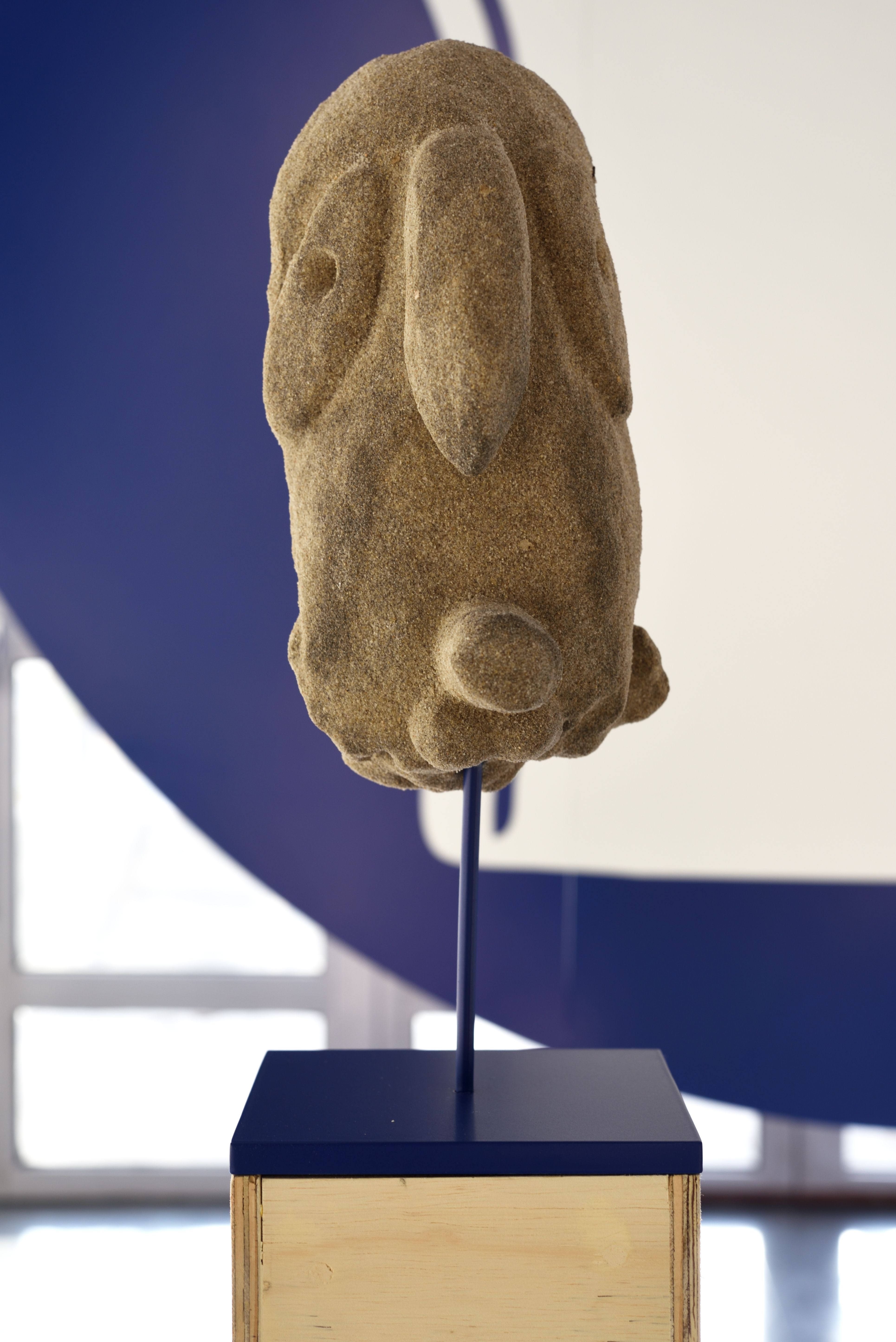 show image