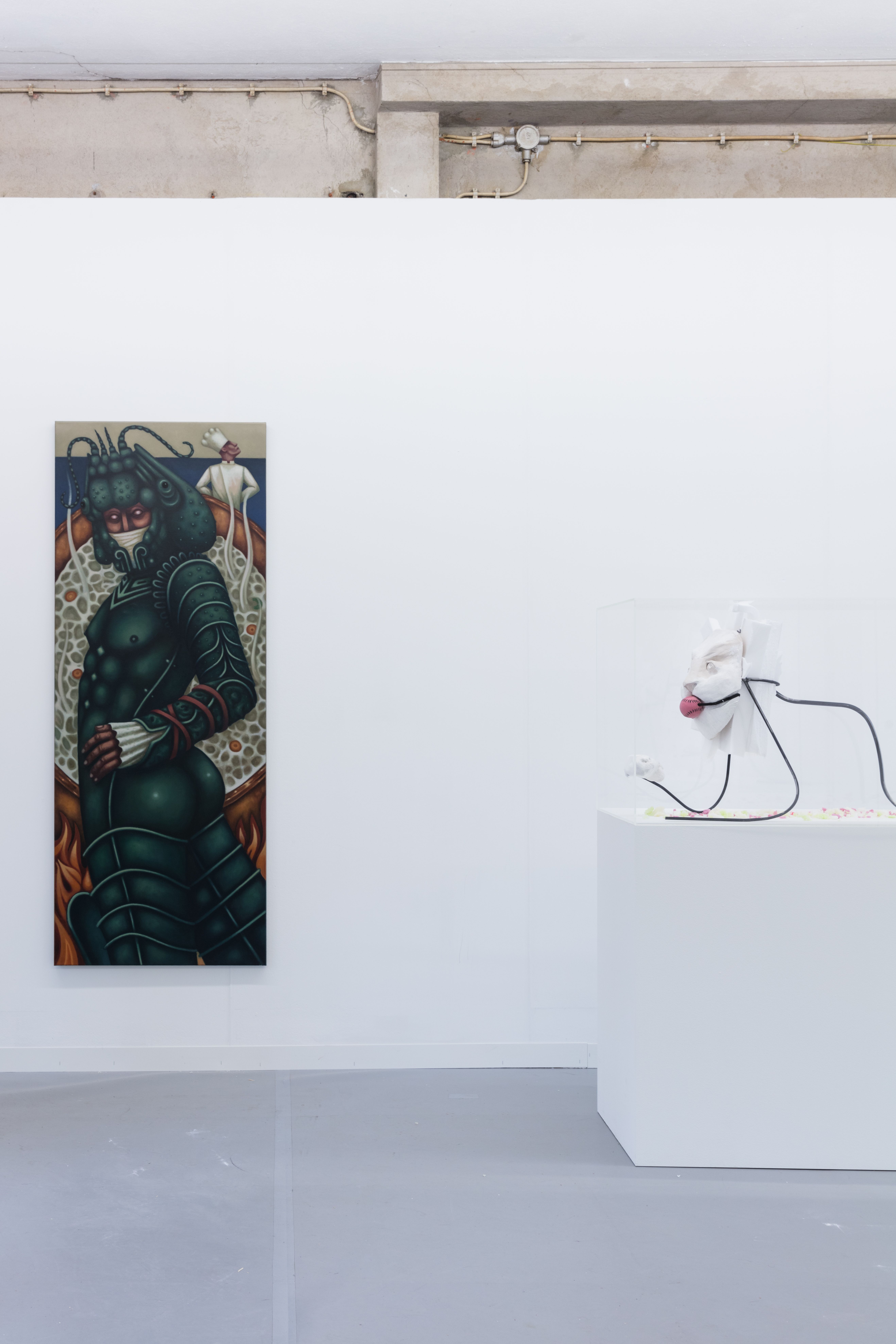 show image