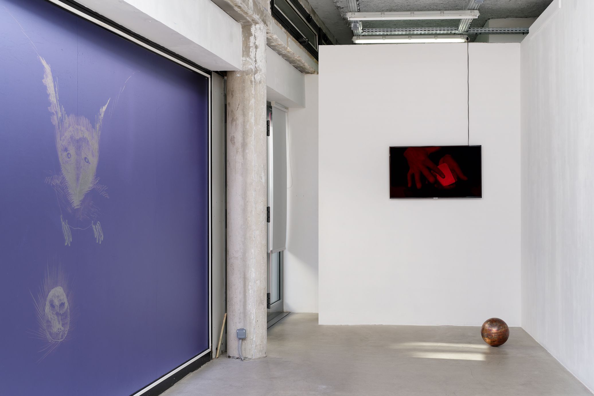 show image