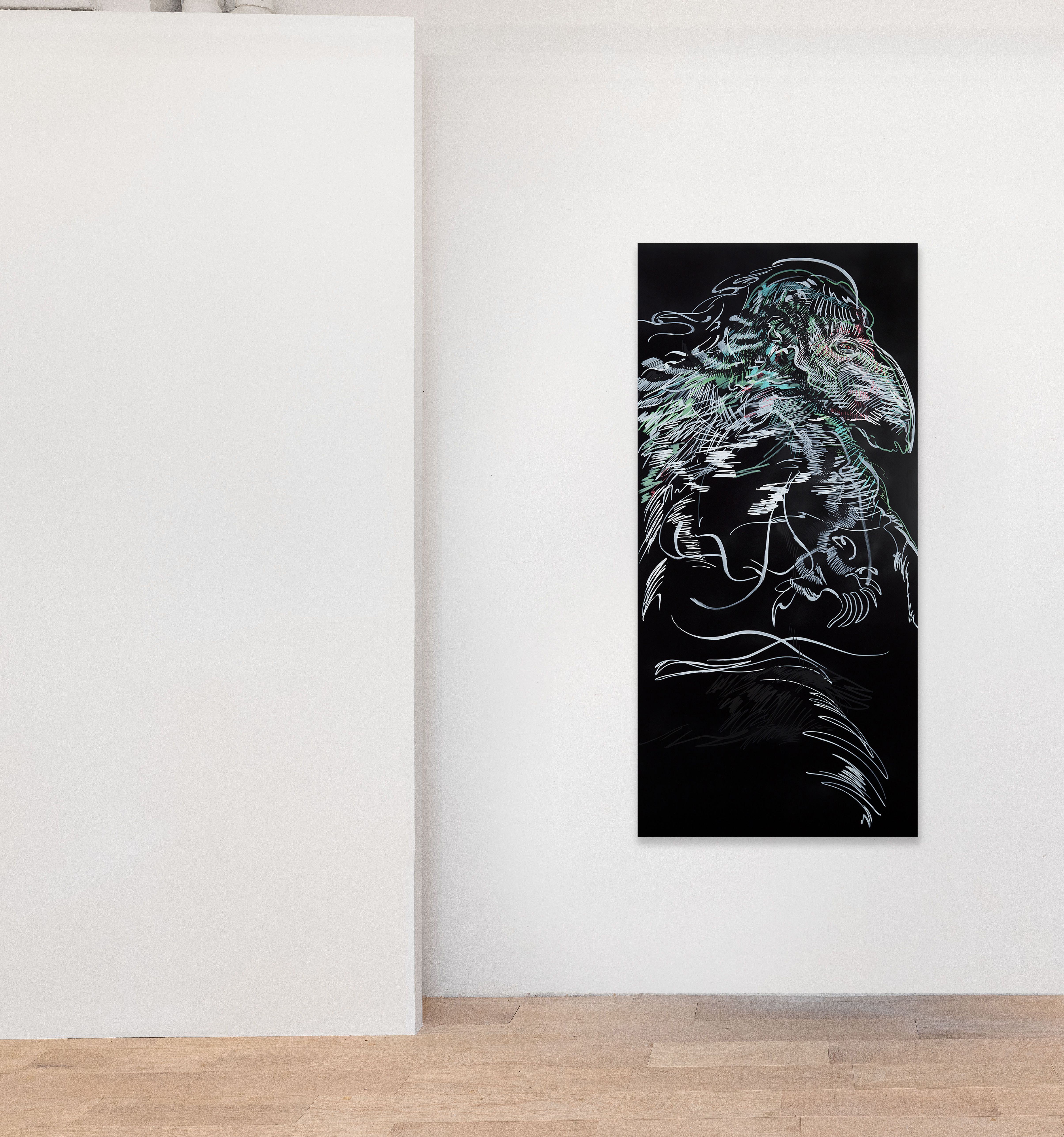 show image