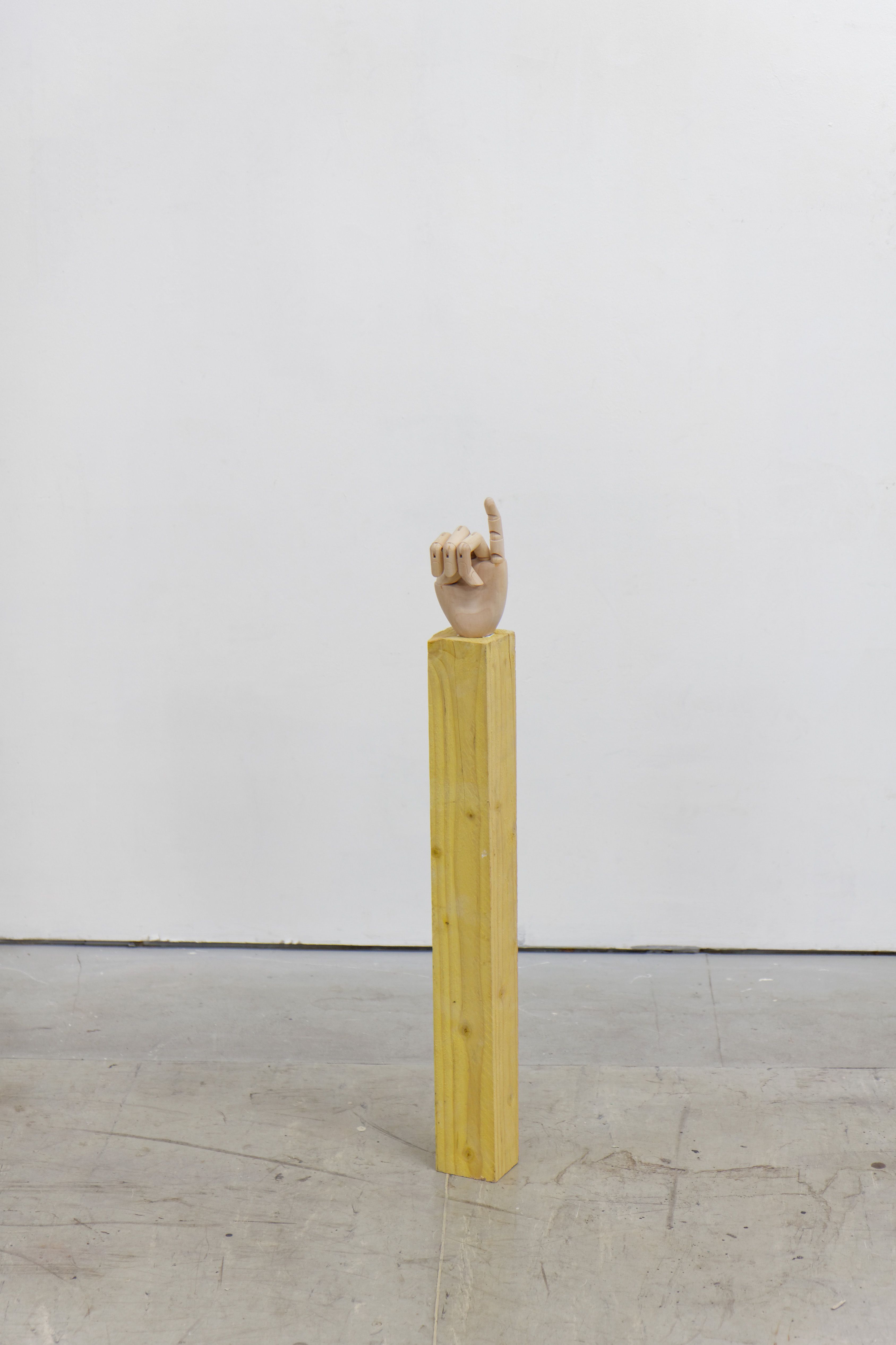 show image