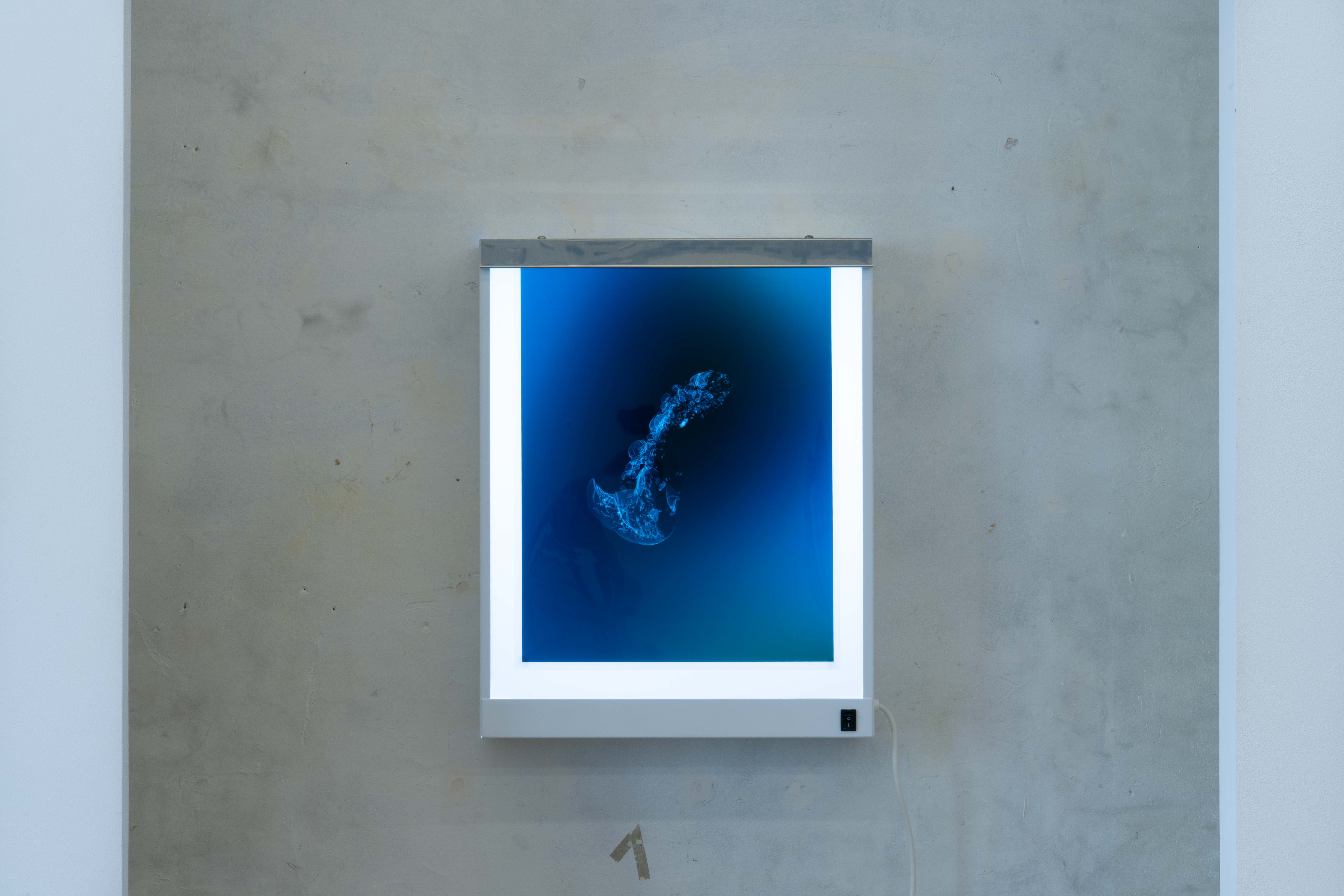 show image