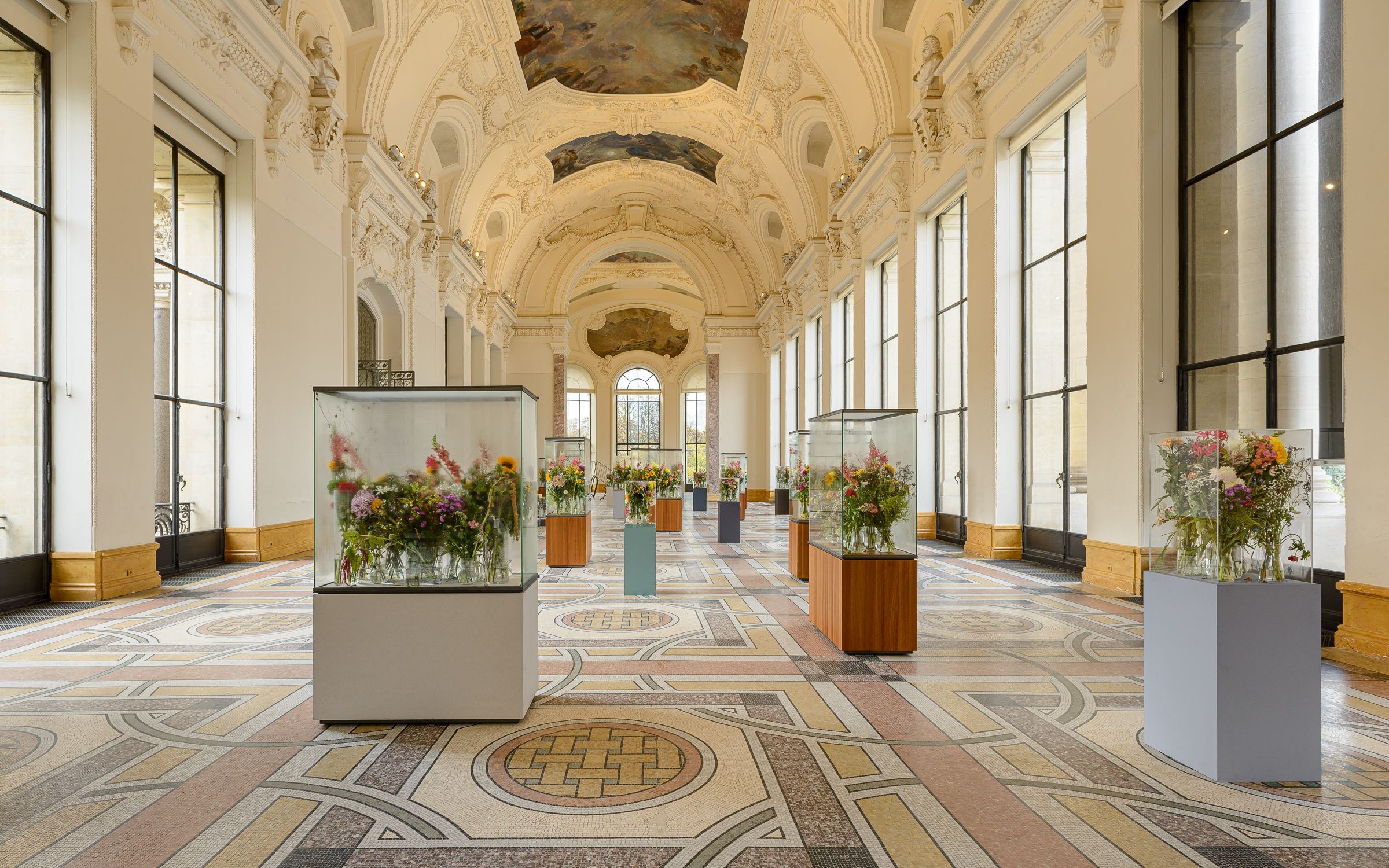 Show Image