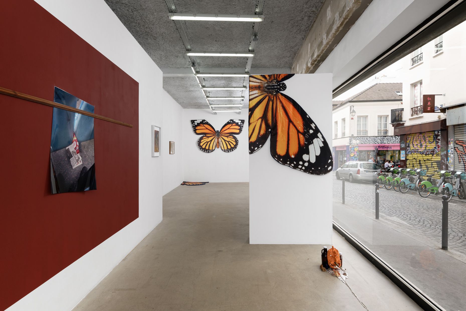 show image