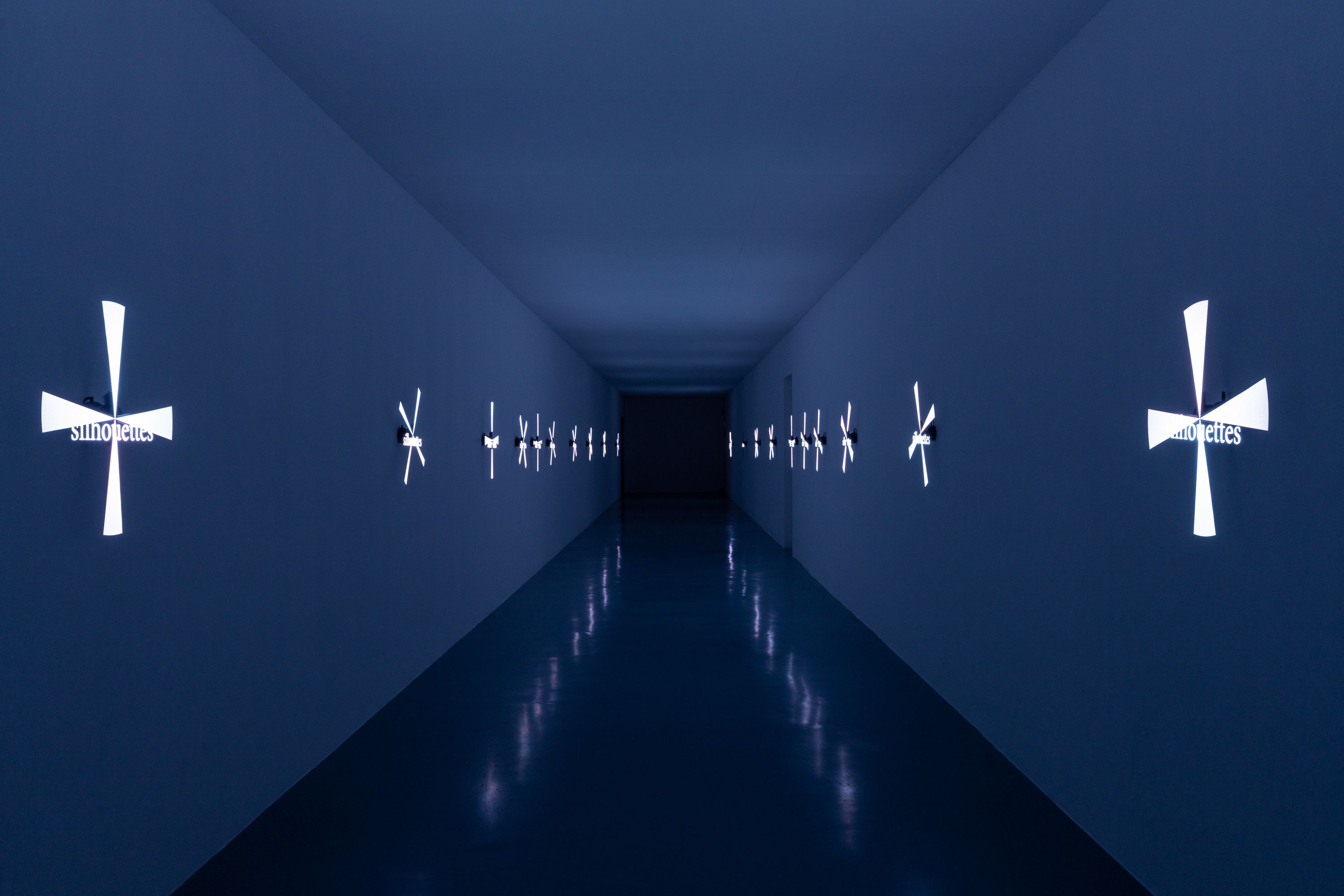 Show Image