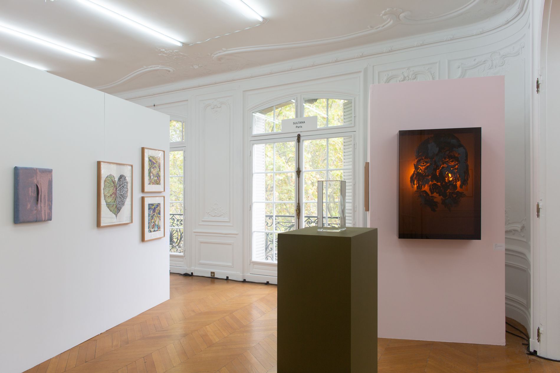 show image