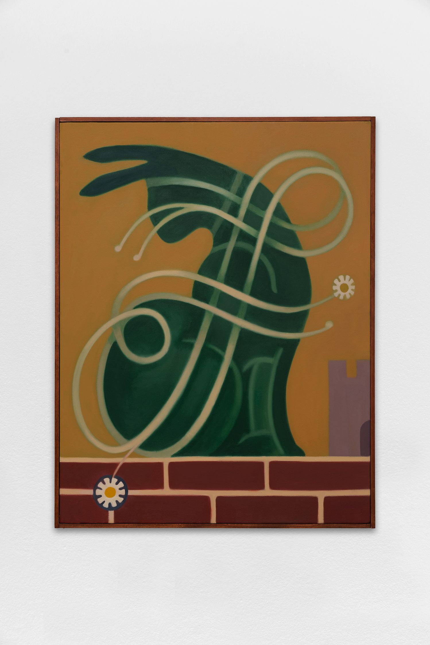 show image