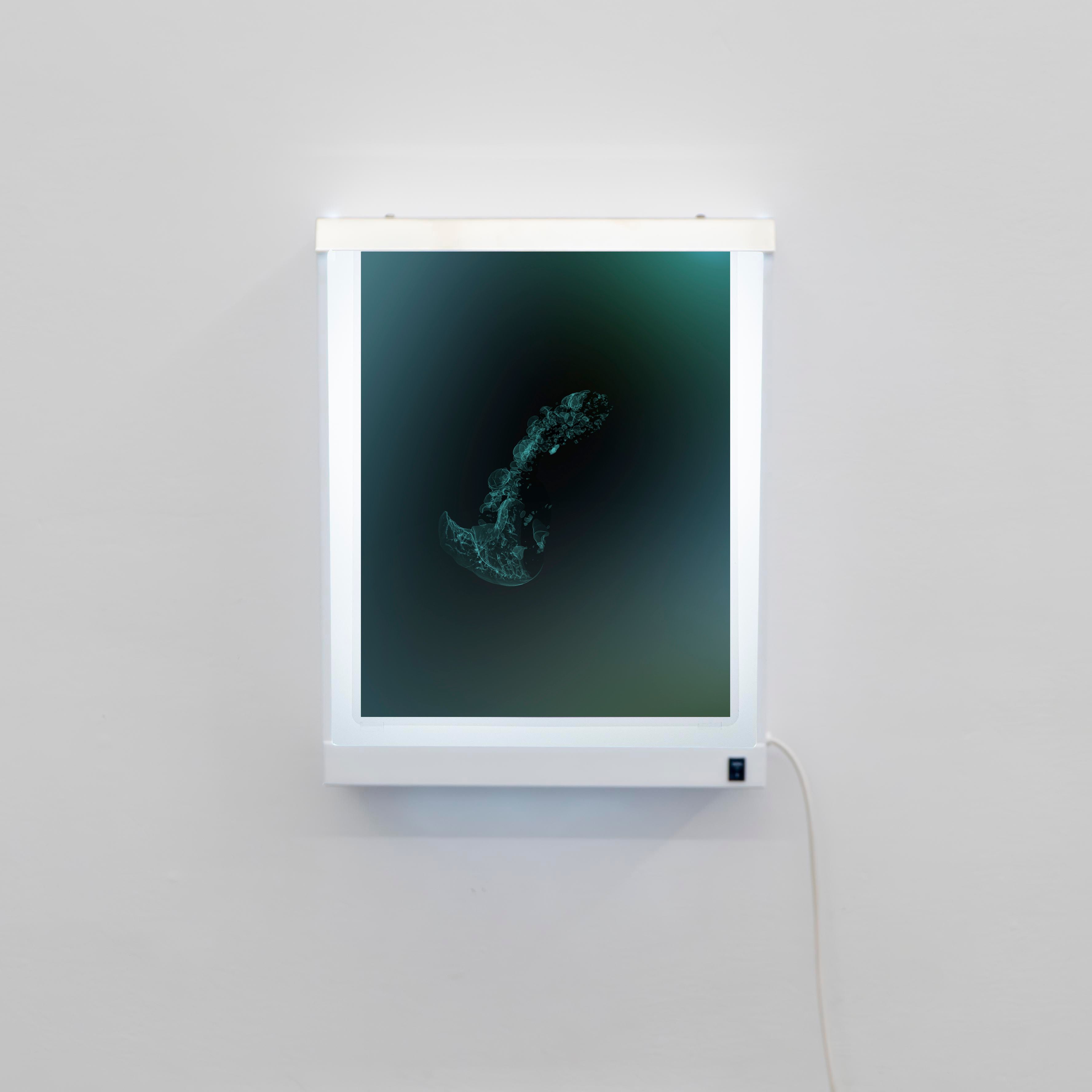 show image