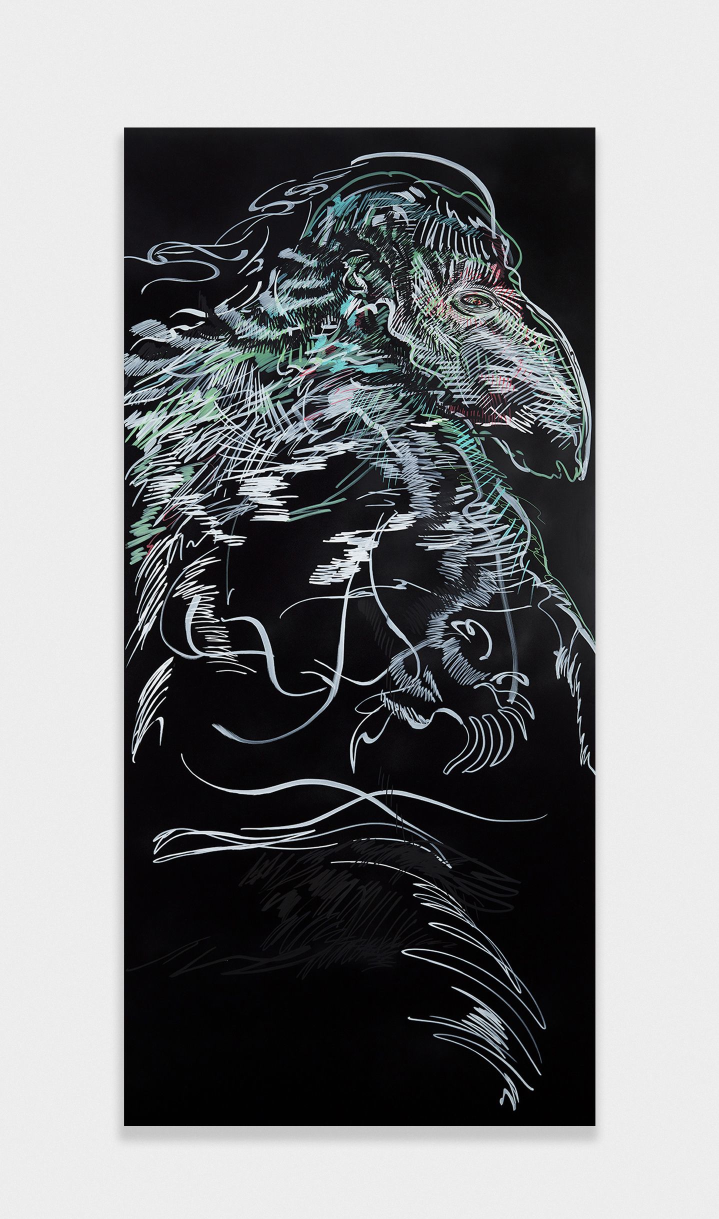 show image