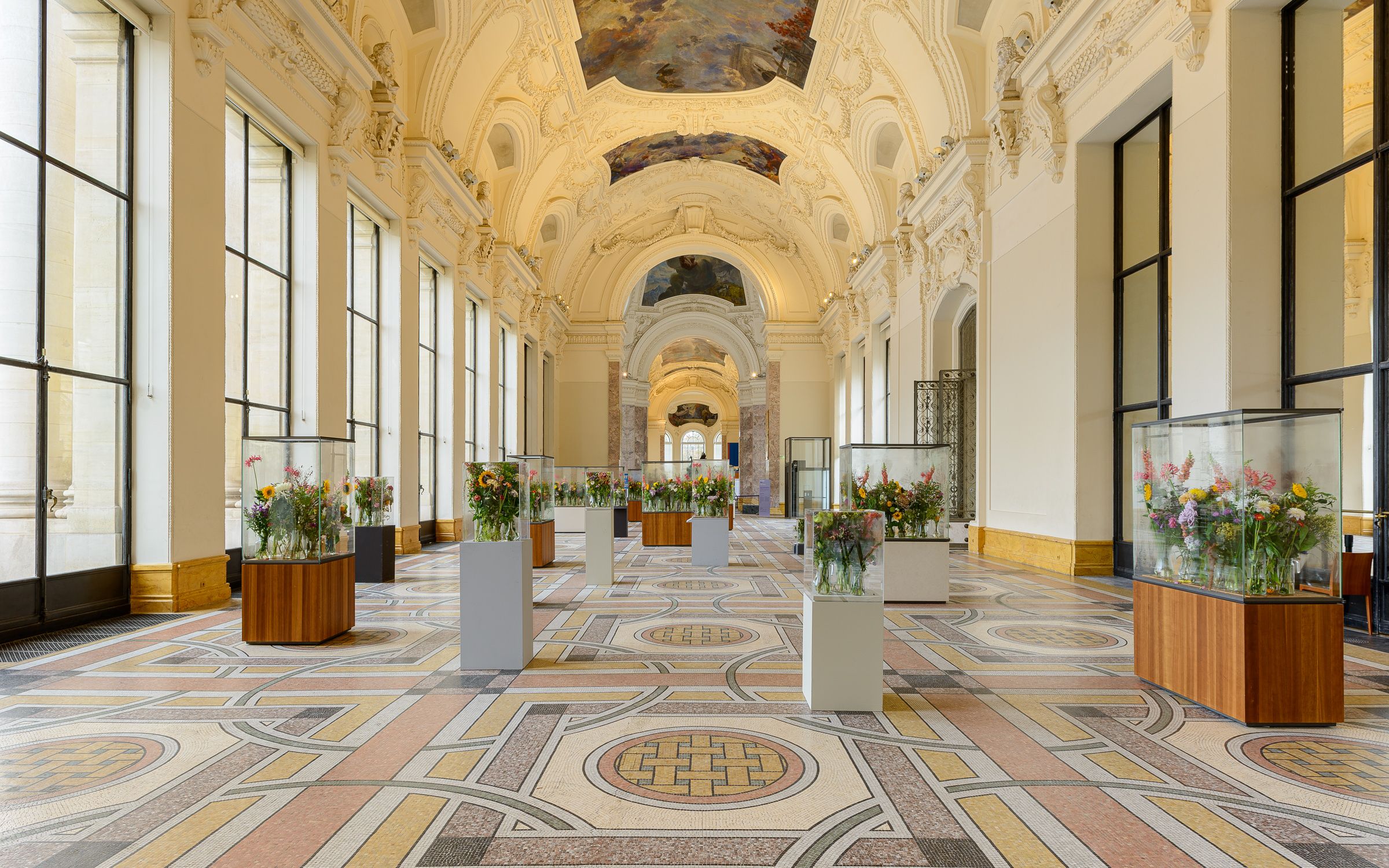 Show Image