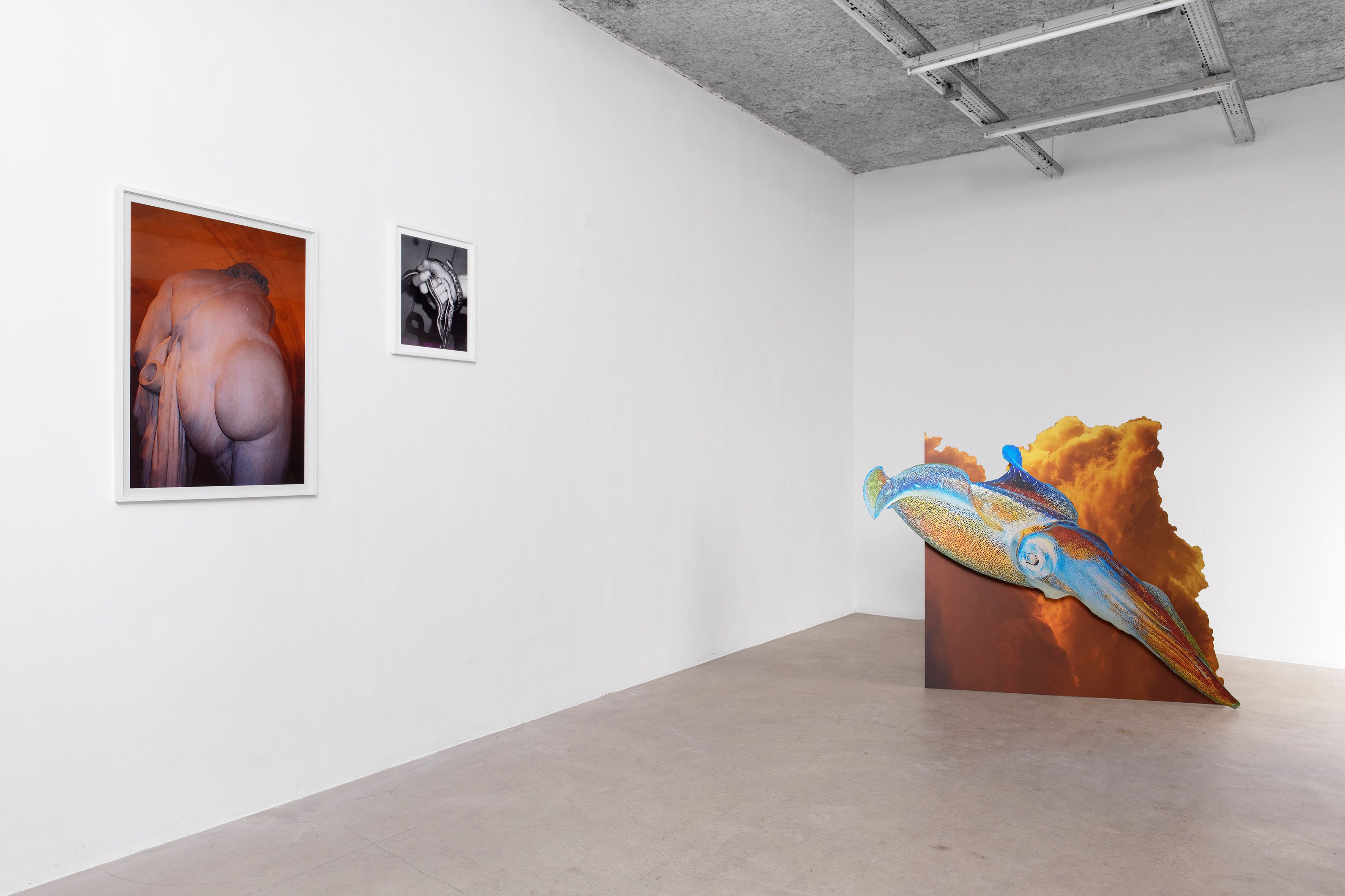 show image