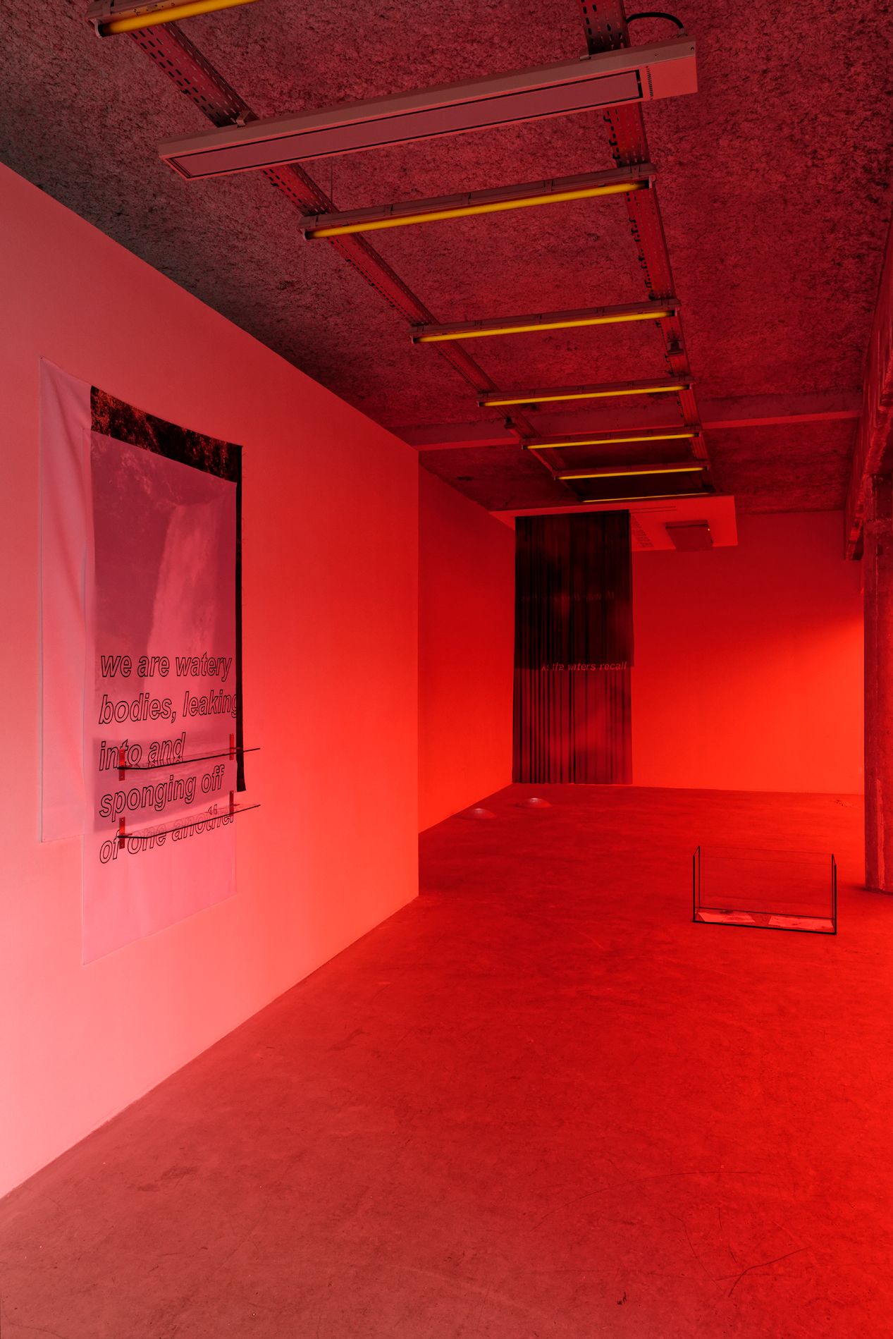 show image