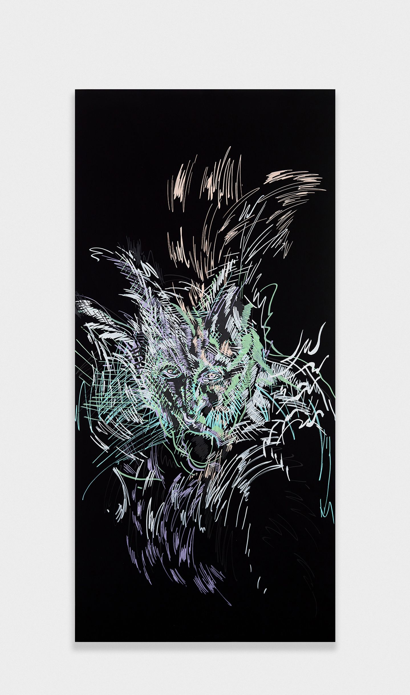 show image