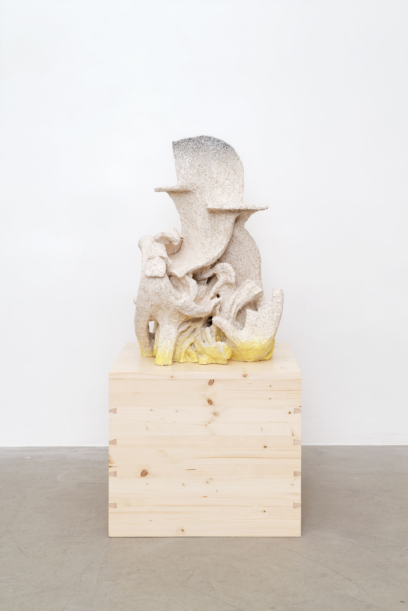 show image