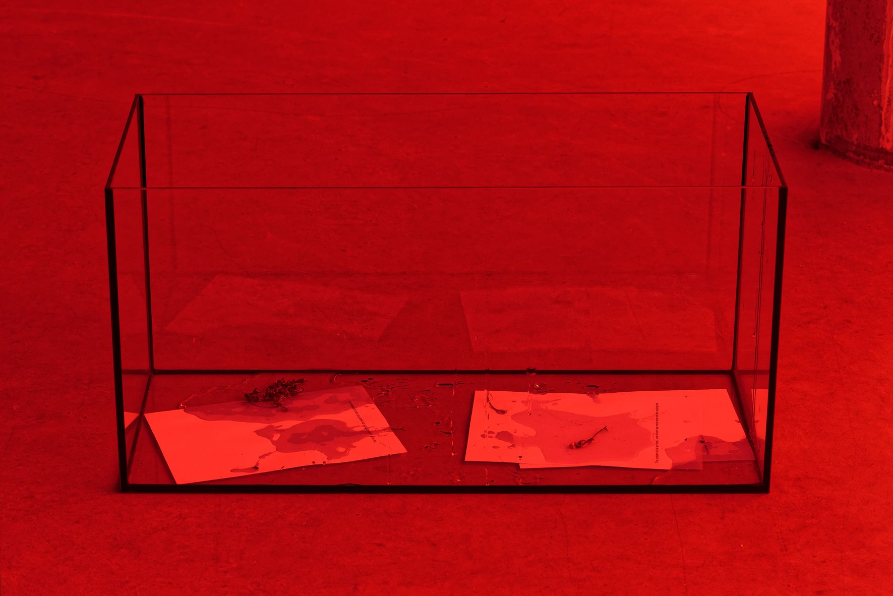 show image