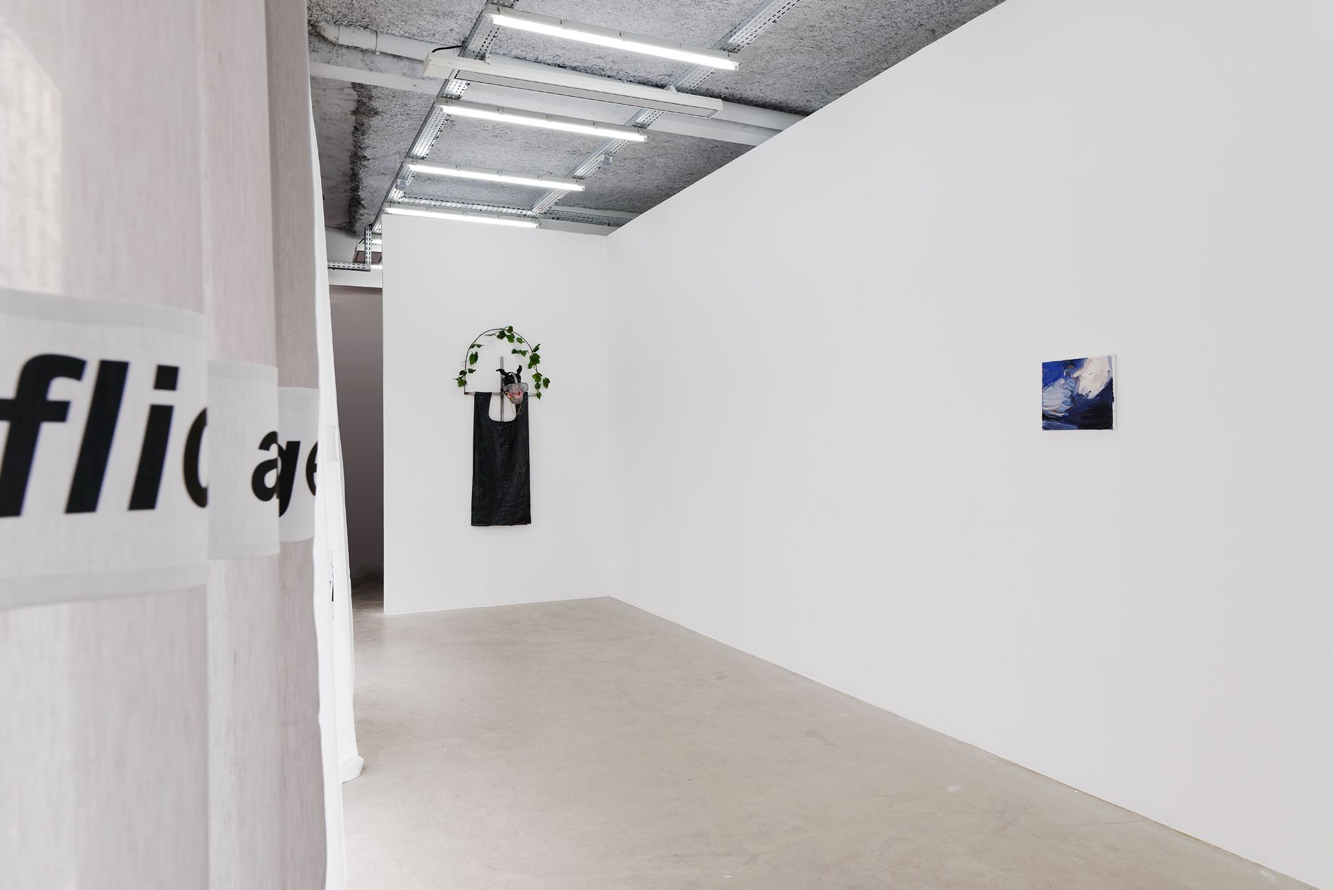 show image