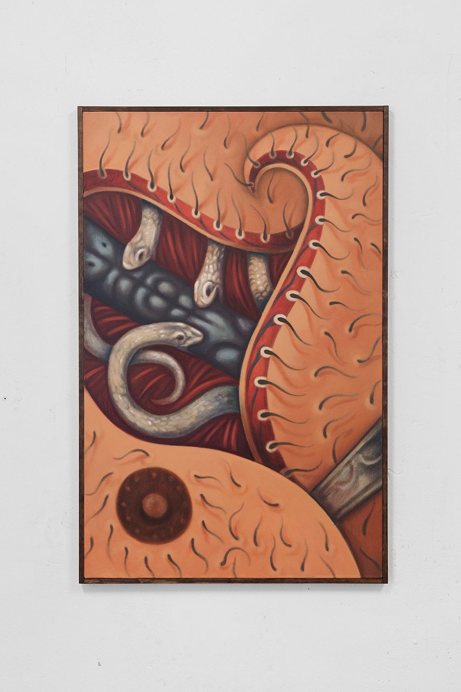 show image
