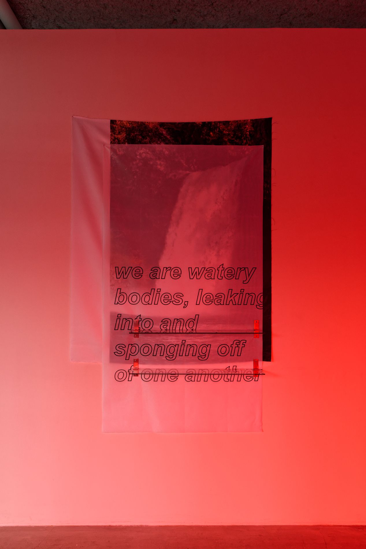 show image