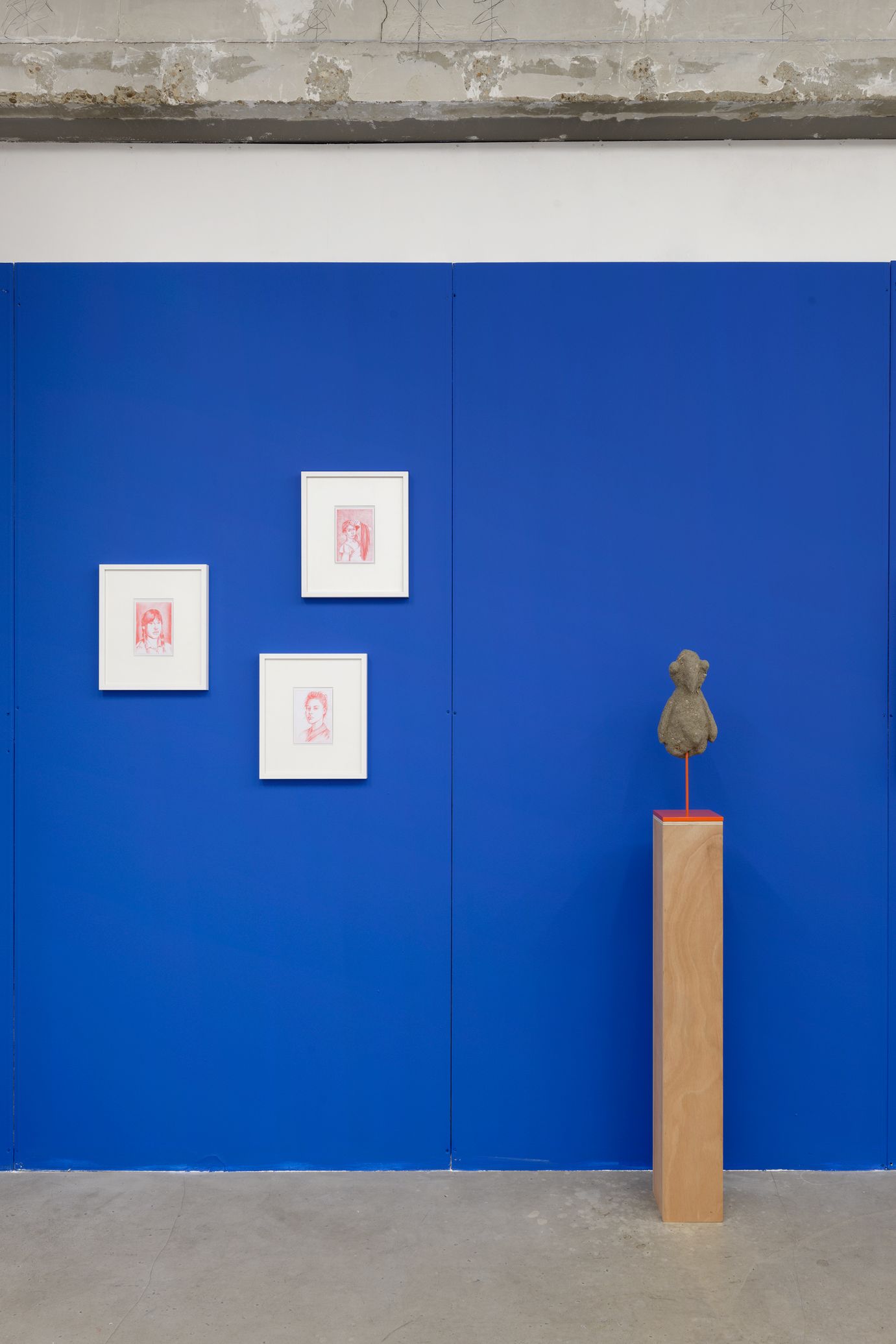show image