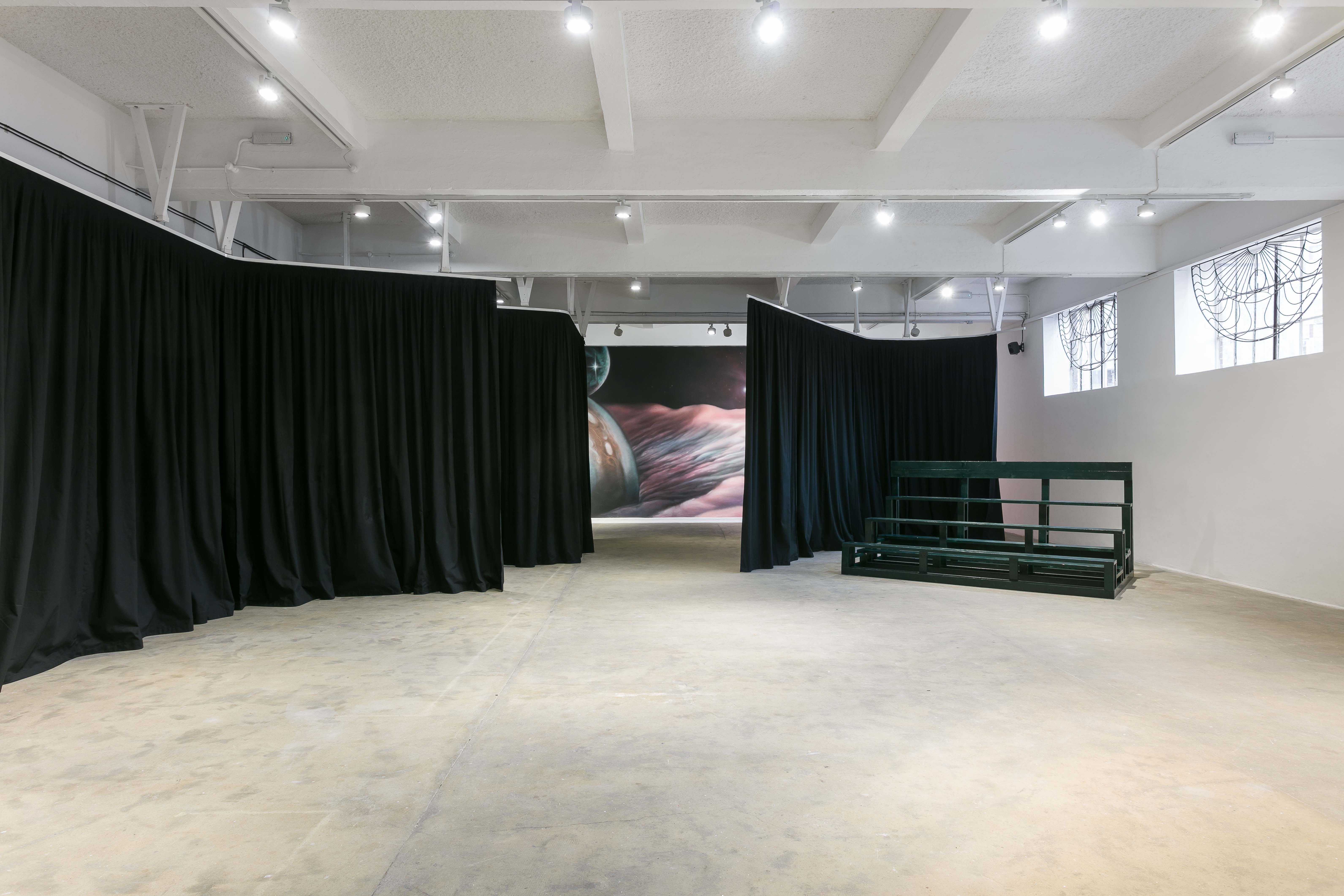 Show Image