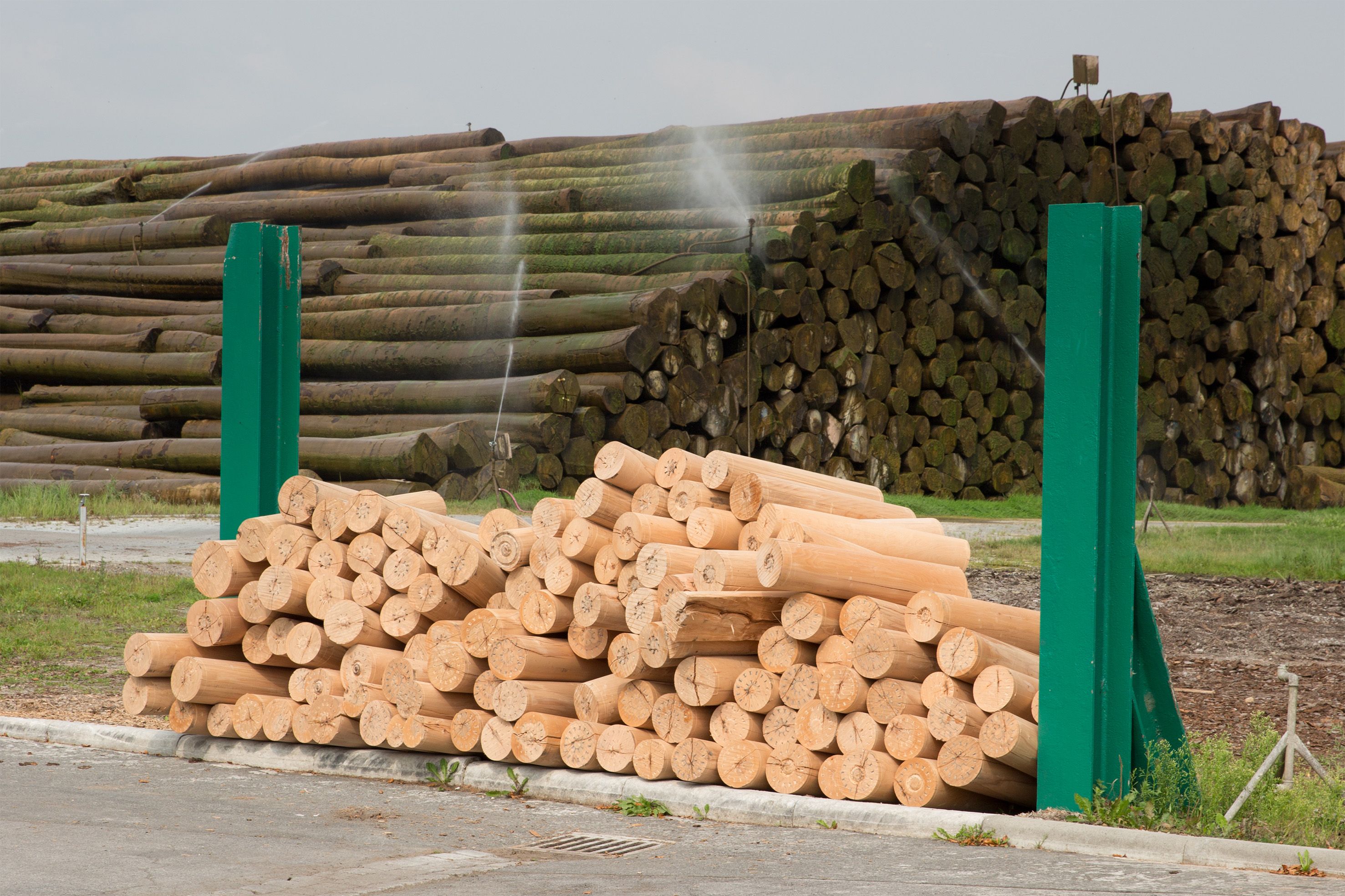 FSC certified timber logs stacked at a sustainably managed forest in Western Europe
