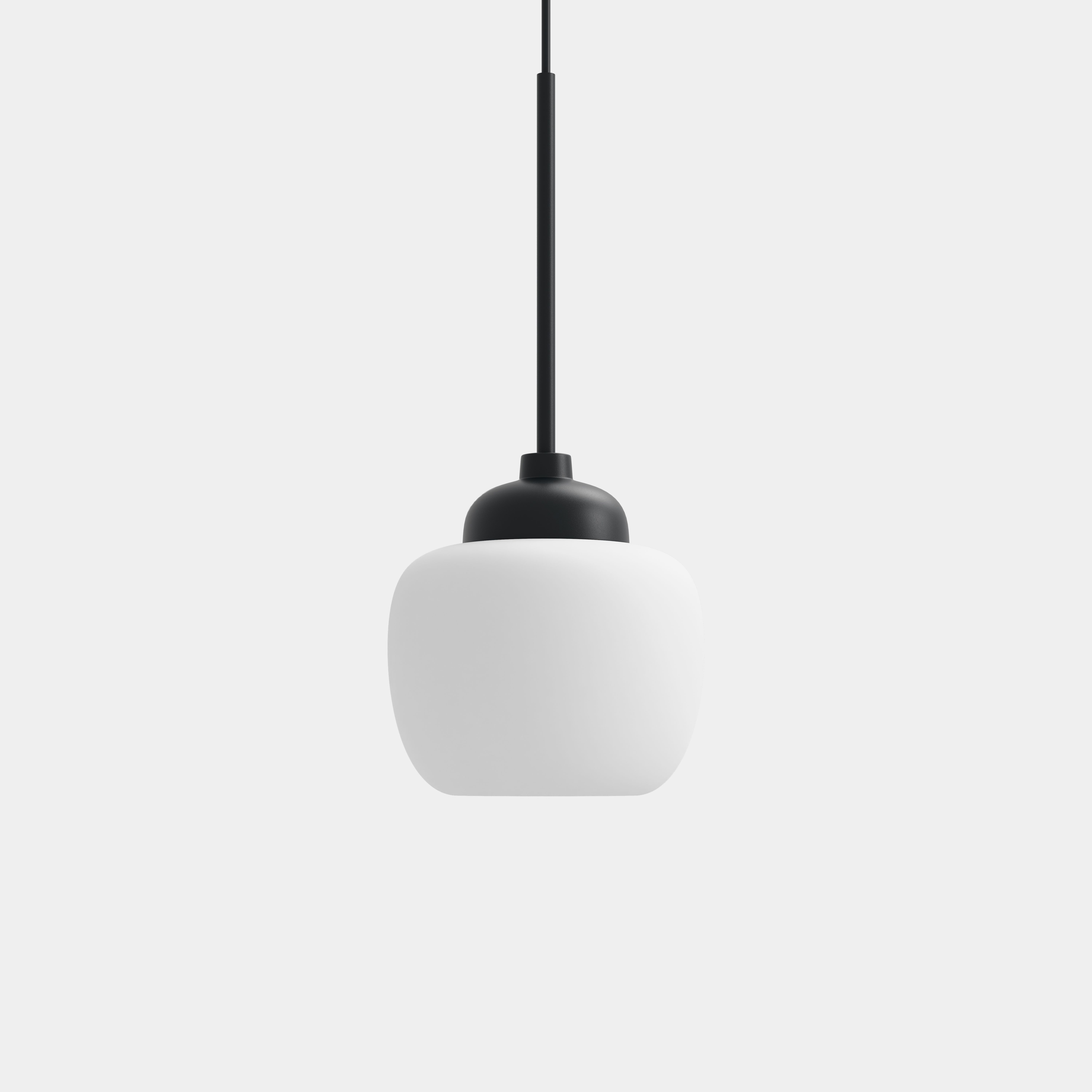 Acorn