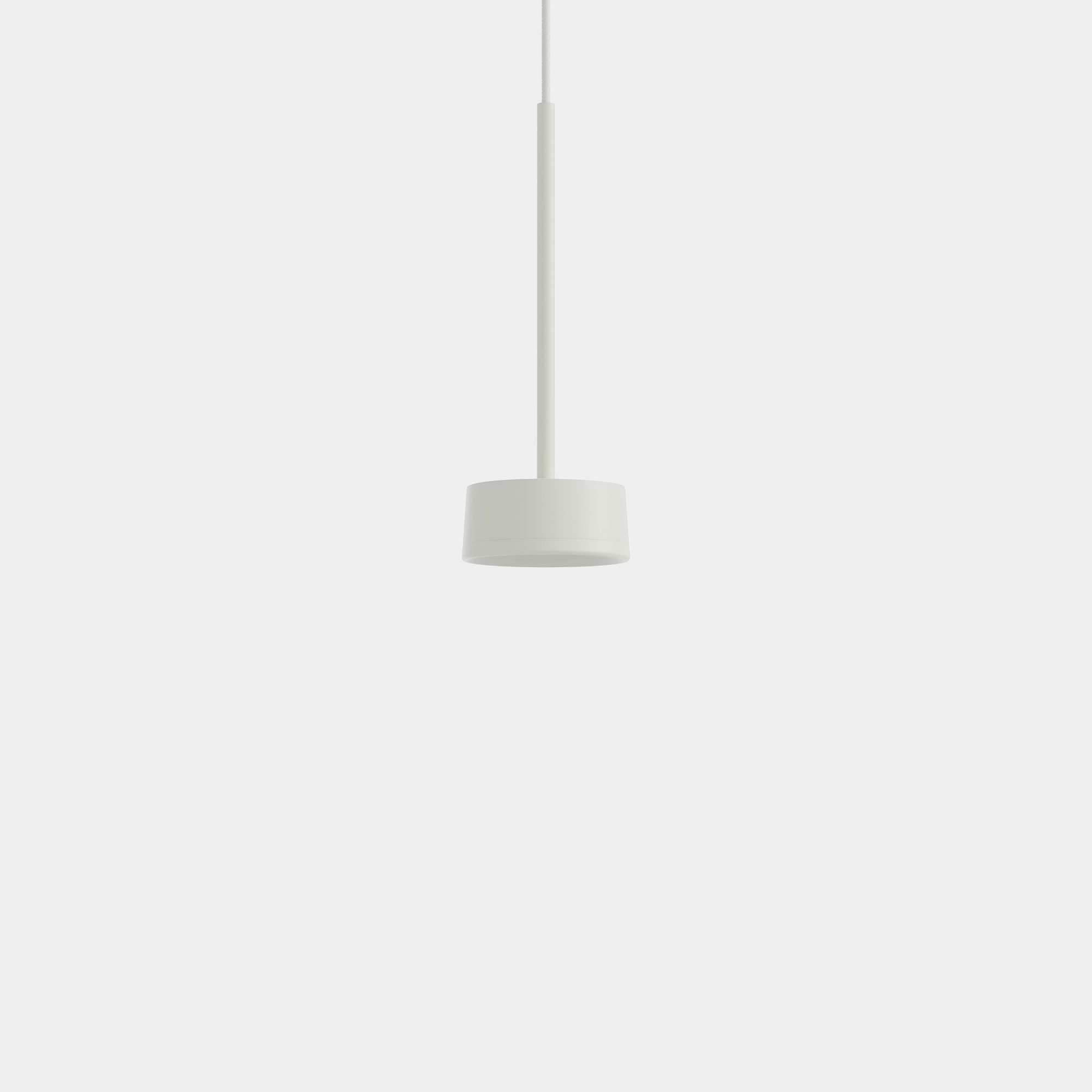 Grey White
