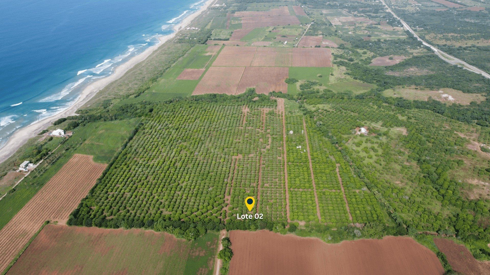 Vue aérienne du verger et du Lote 02 le long de la côte, Plataforma