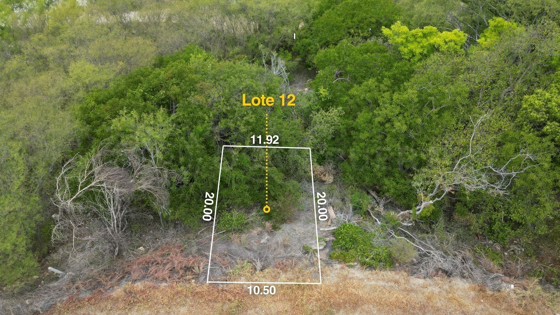 Vue zénithale du Lote 12 avec ses dimensions