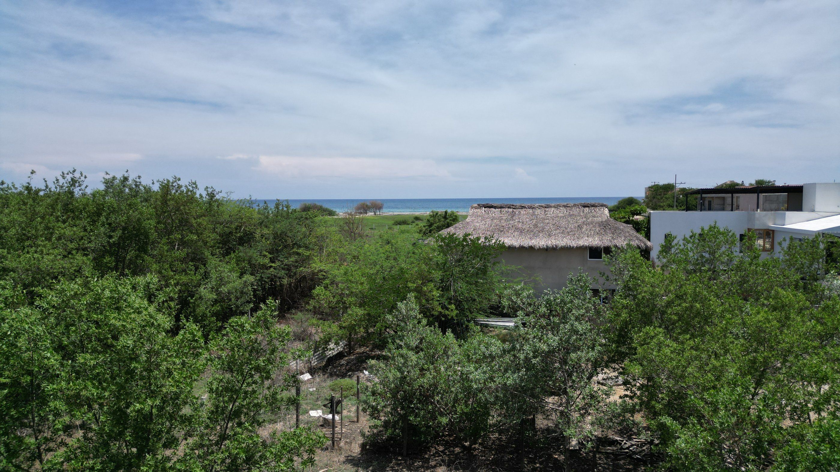 Vista hacia el mar sobre la vegetación junto al terreno, La Barra