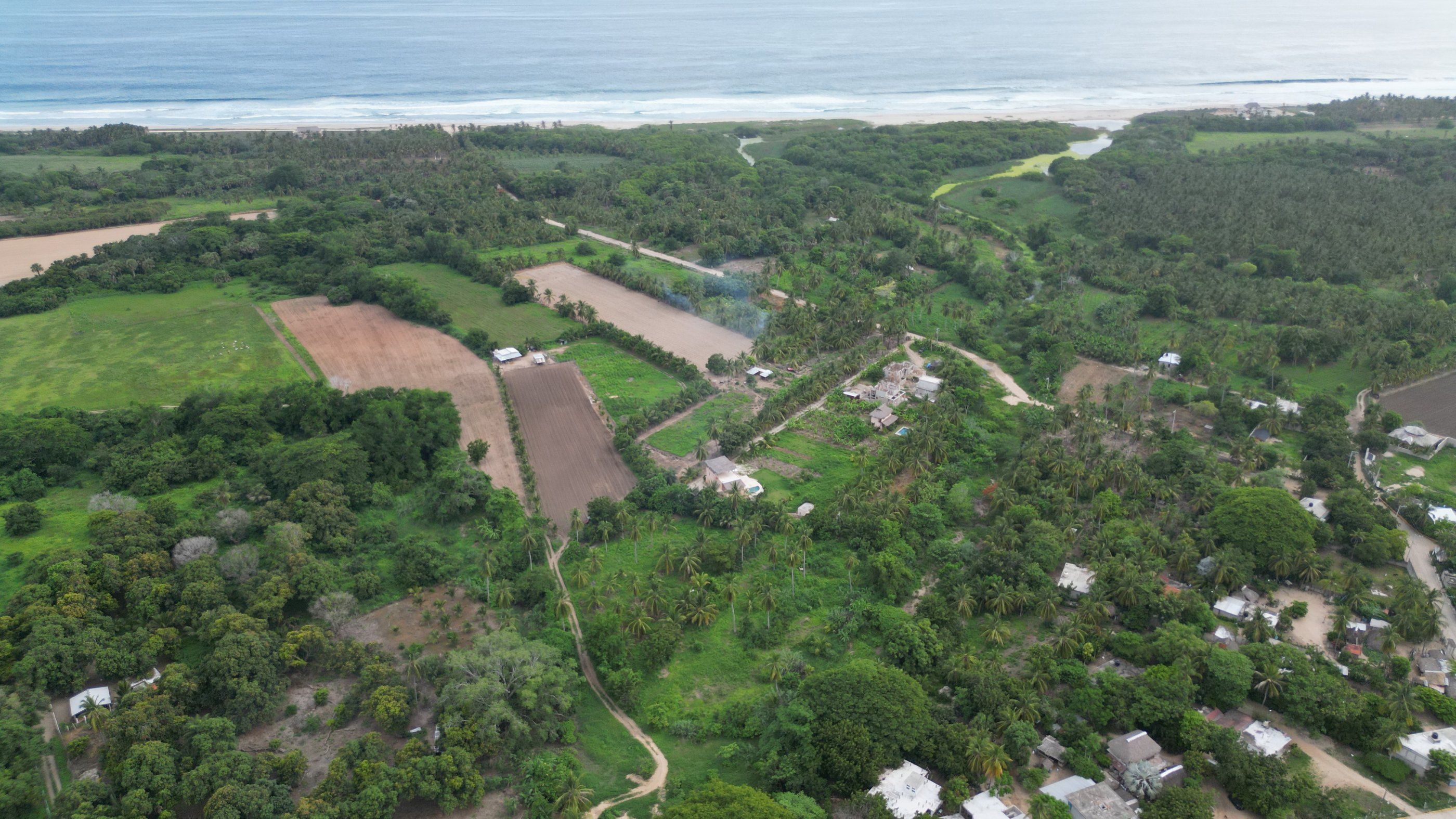 Campos y palmeras hacia la playa, vista aérea, El Tomatal