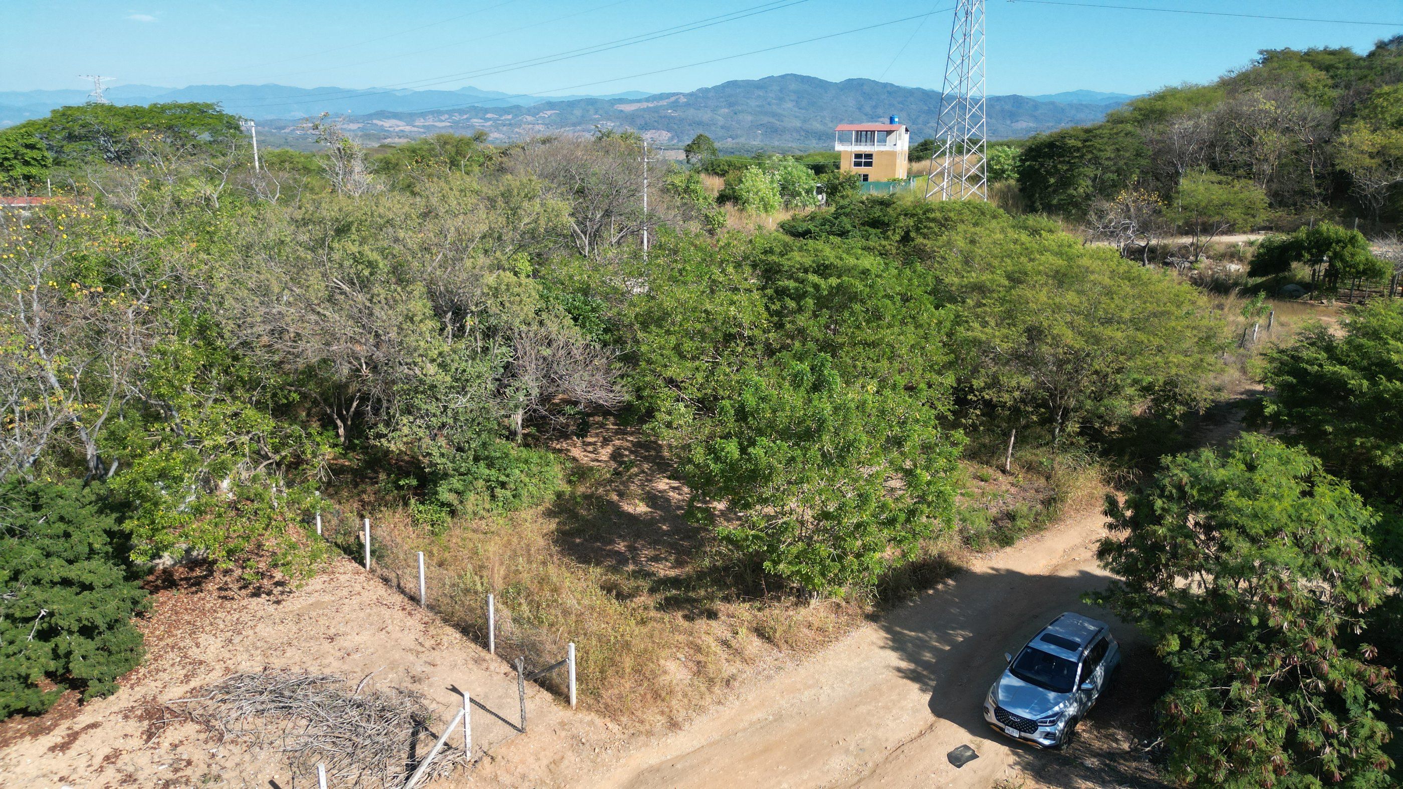Vista sobre la vegetación hacia la sierra, Las Torres