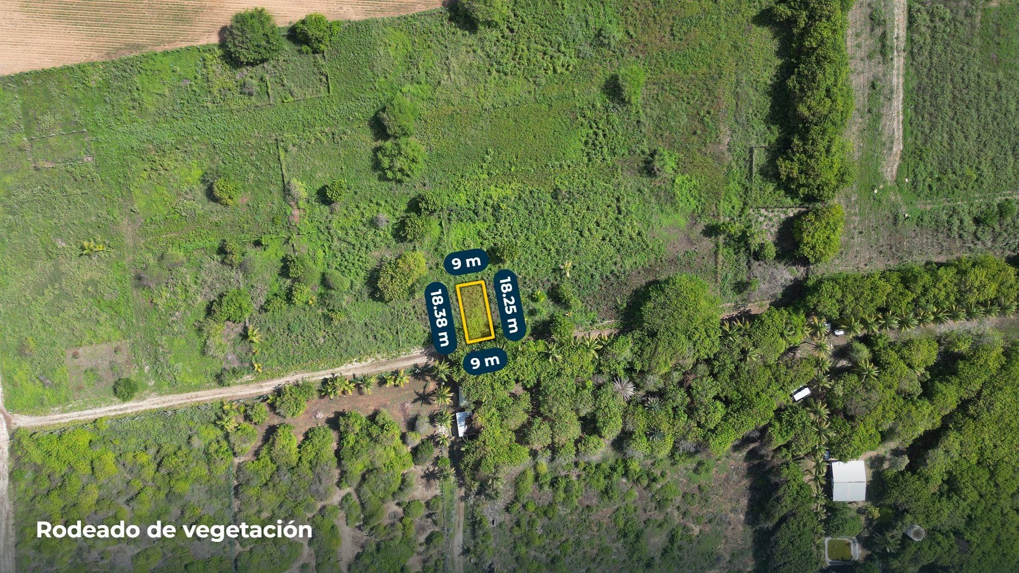 Vista cenital del lote rodeado de vegetación, El Rosedal
