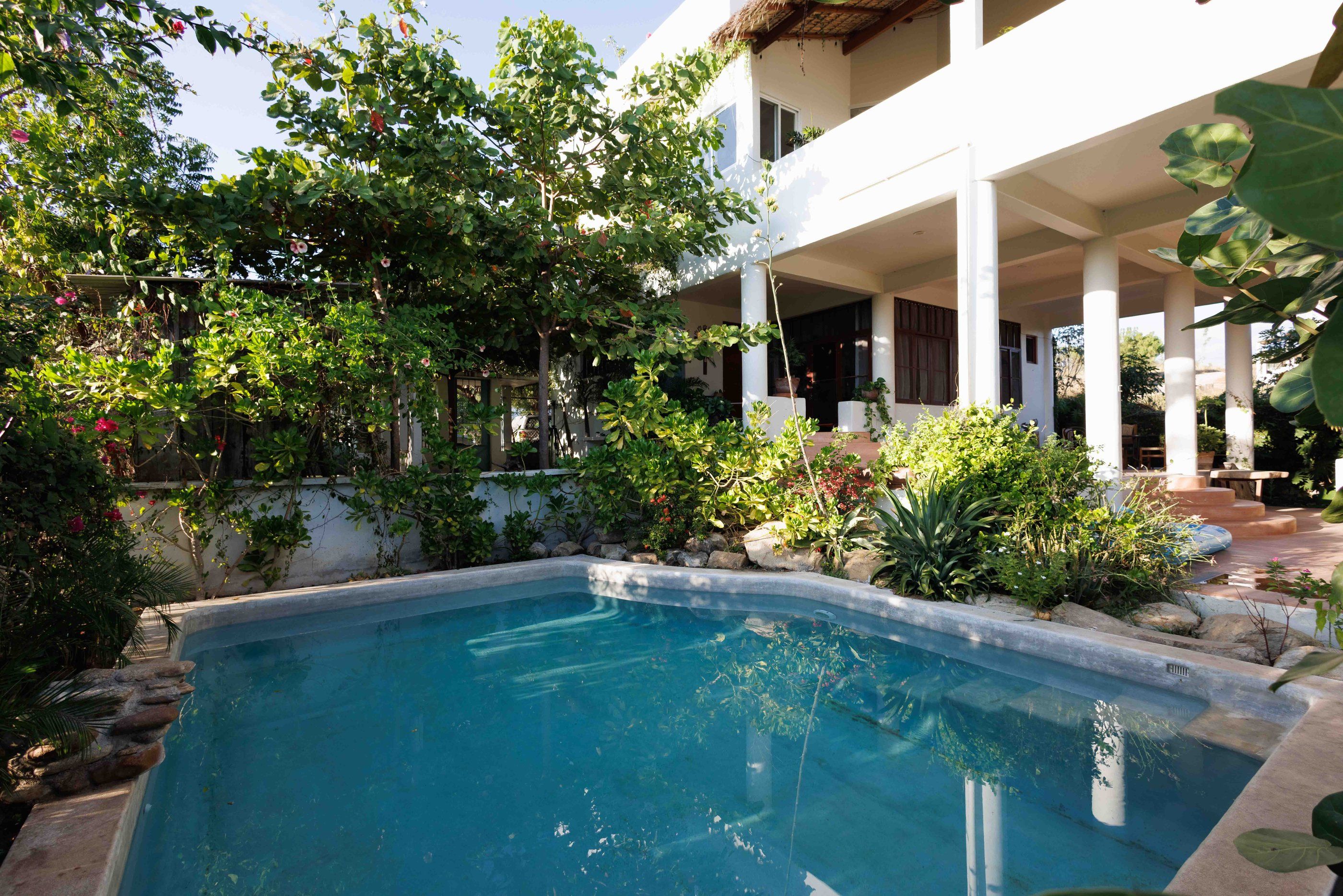 Piscine entourée de plantes tropicales, Esperanza Verde