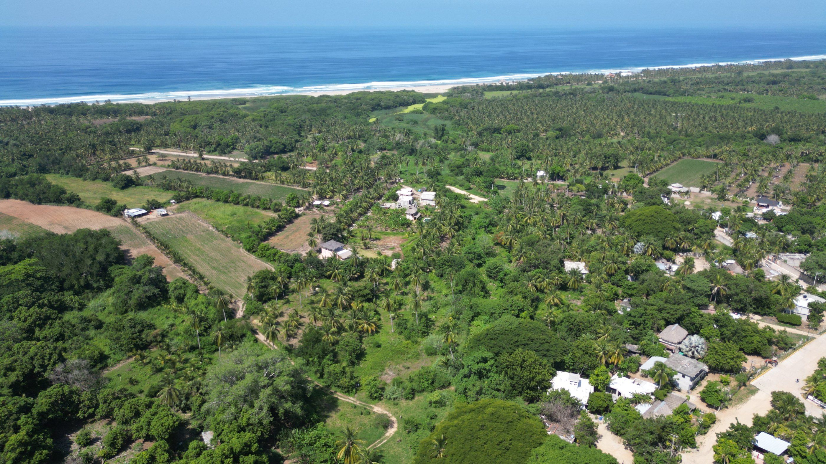 Vista con dron hacia el mar sobre palmeras y casas, El Tomatal