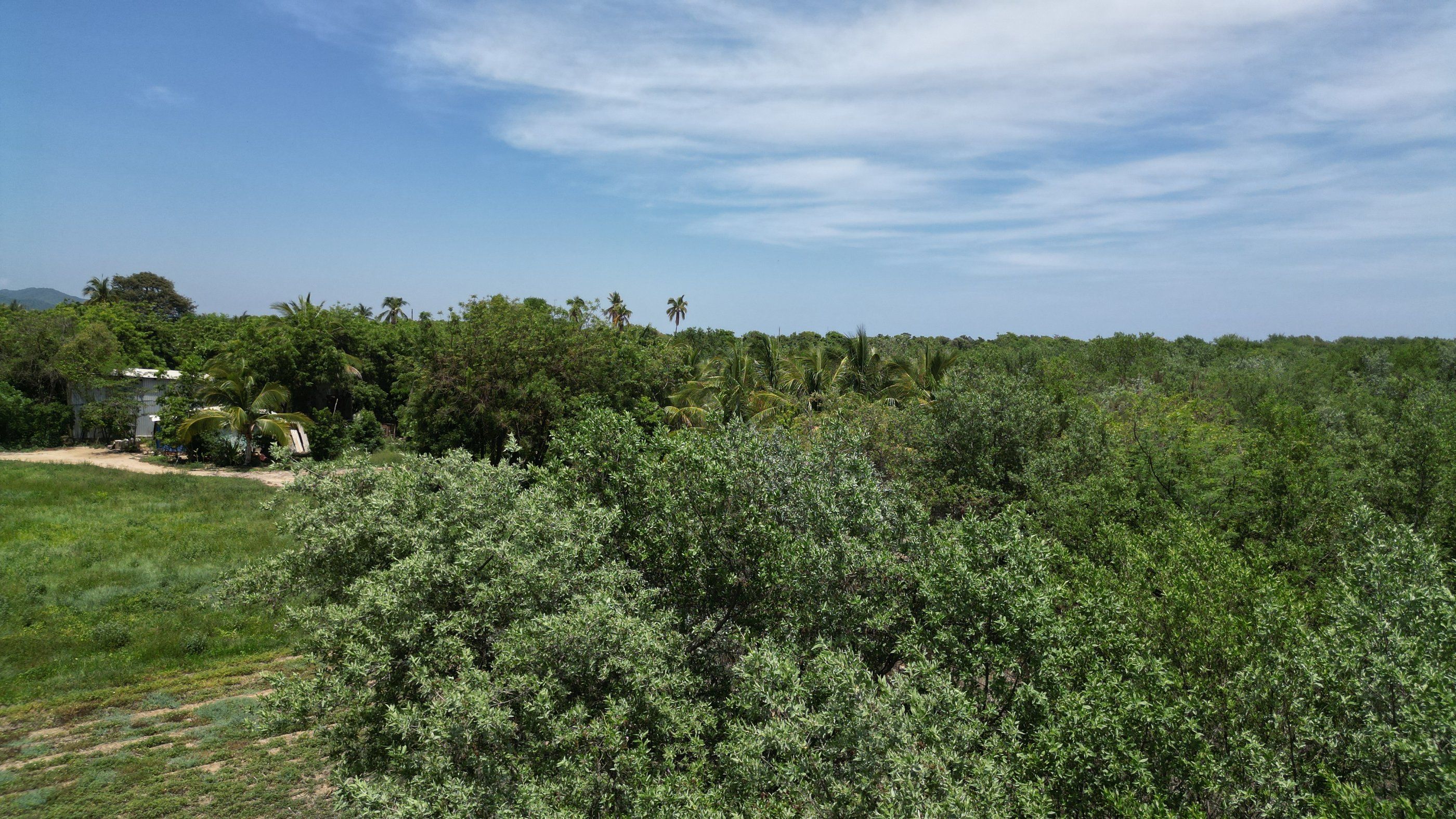 Vegetación y entorno del terreno, Barra de Colotepec