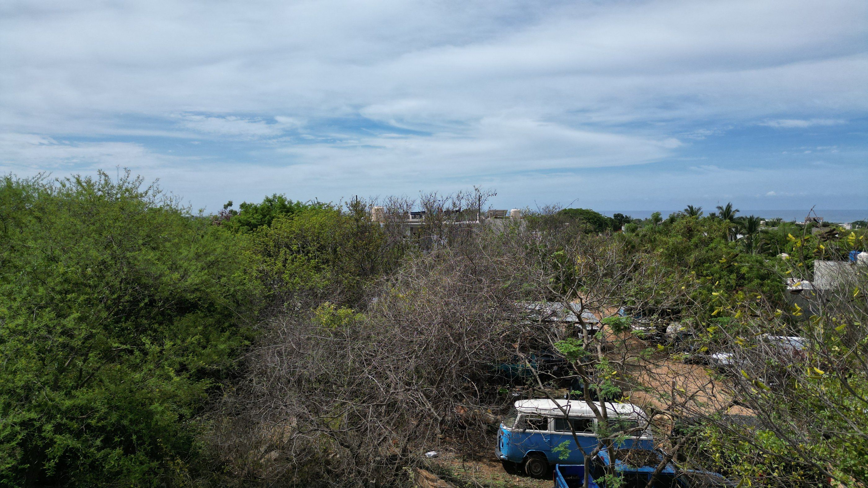 Vegetación en el terreno y su entorno, La Barra de Colotepec