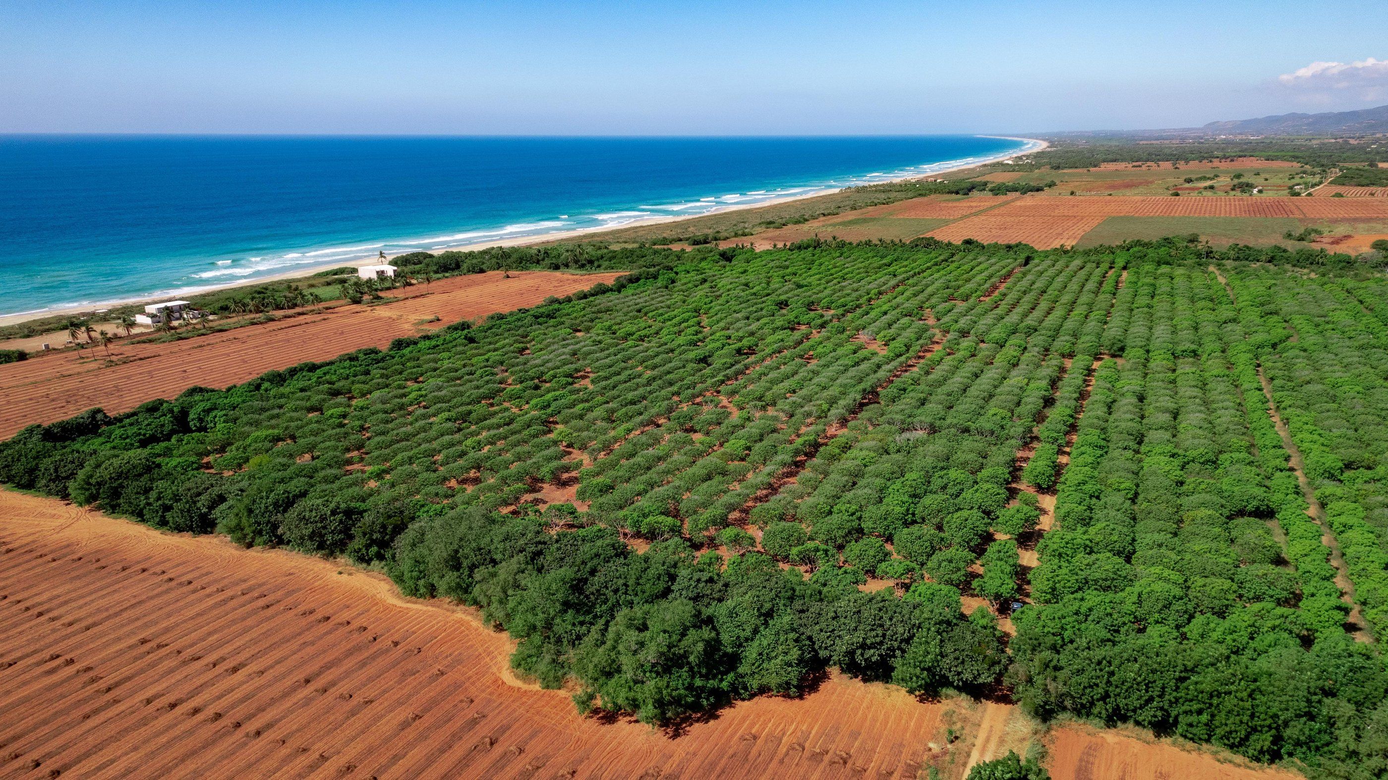 Development and coastline from above, Plataforma