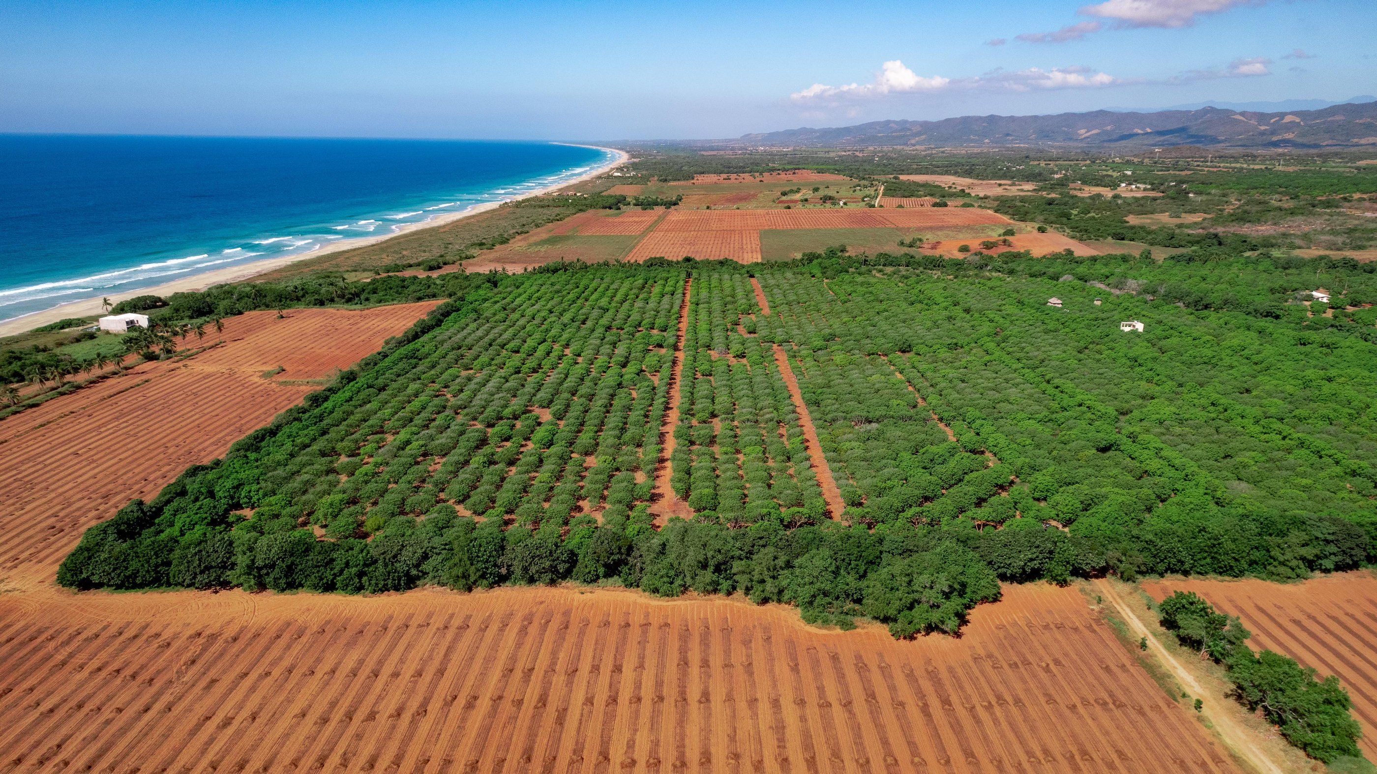 Aerial view toward the beach, Plataforma