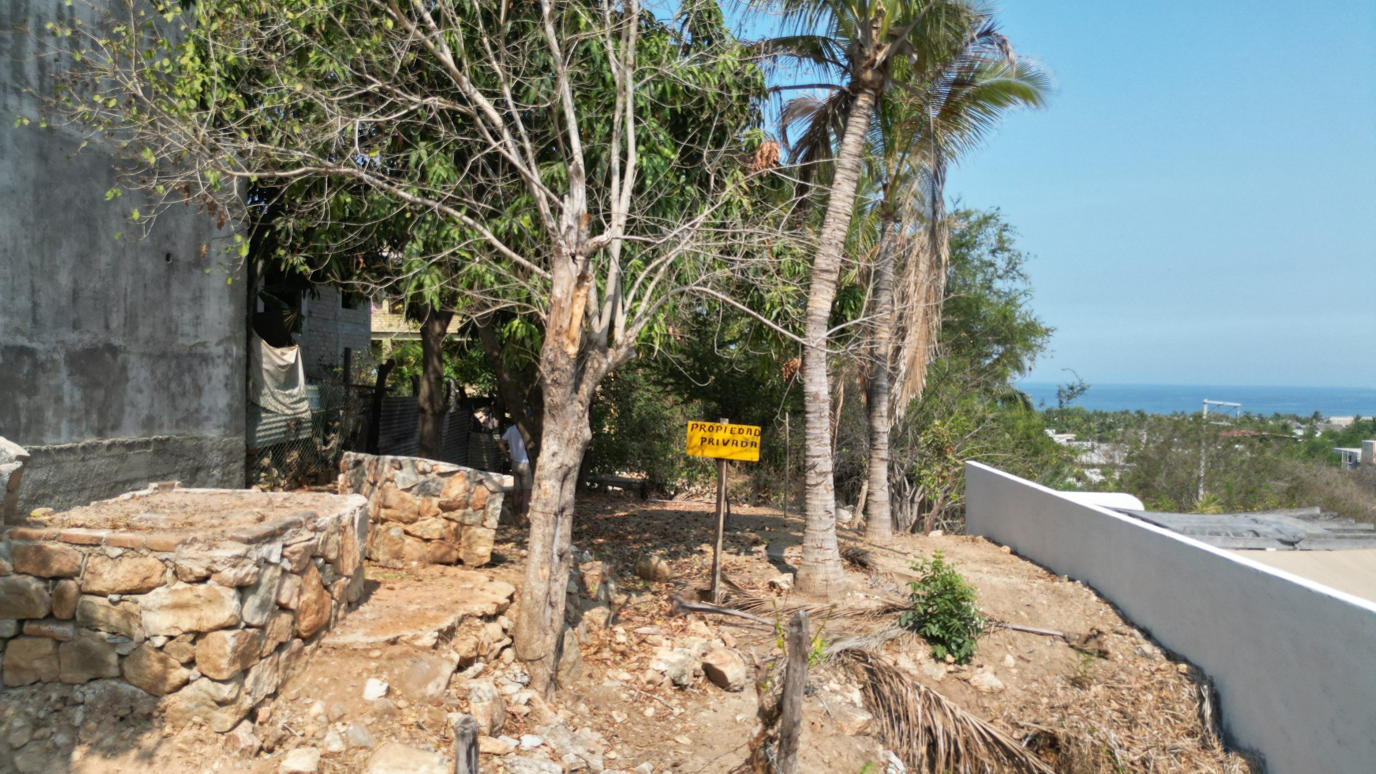 Le terrain au niveau de la rue, avec arbres, La Punta Zicatela